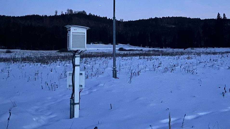 Heute.at - Beispiellos – Polar-Peitsche friert Waldviertel ein