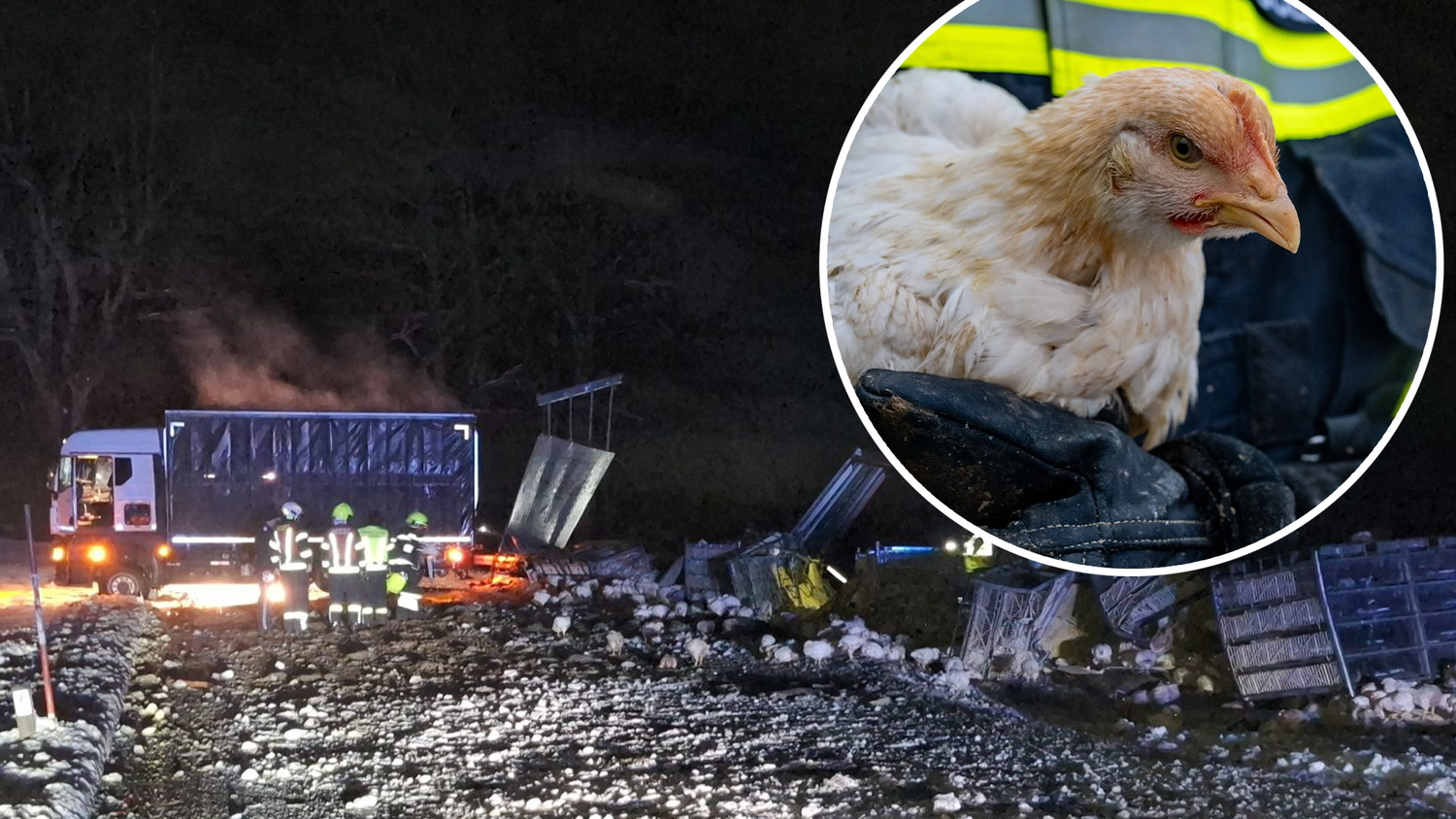 Heute.at - 2.000 Hendln in Not! Lkw kippt auf eisiger Straße um