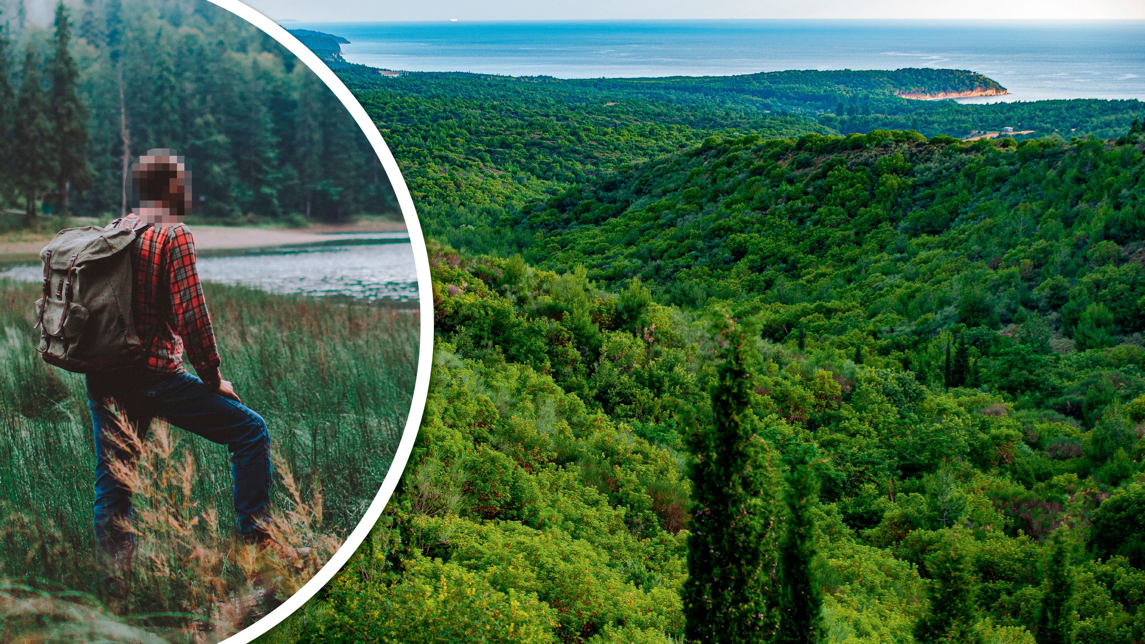 Der Burnout-Kranke fuhr mit Familie und Koffer in Kroatiens Wälder.