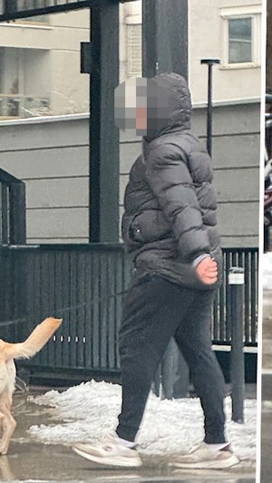 Hund hilft beim Einkauf: Ein Labrador trägt das Sackerl seines Herrchens durch die Wiener Landstraße und sorgt für herzerwärmende Szenen.