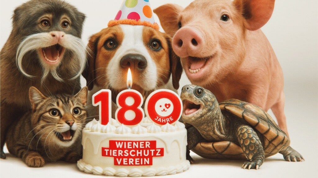 Heute.at - Das größte Tierheim Österreichs verbucht Rekordjahr