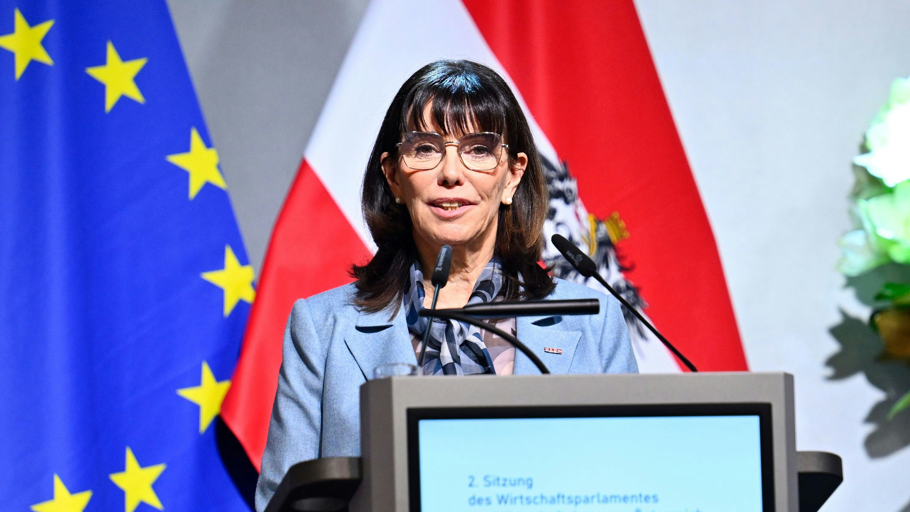 Heute.at - Mahrer-Nachfolge geklärt! Schultz bleibt im Amt