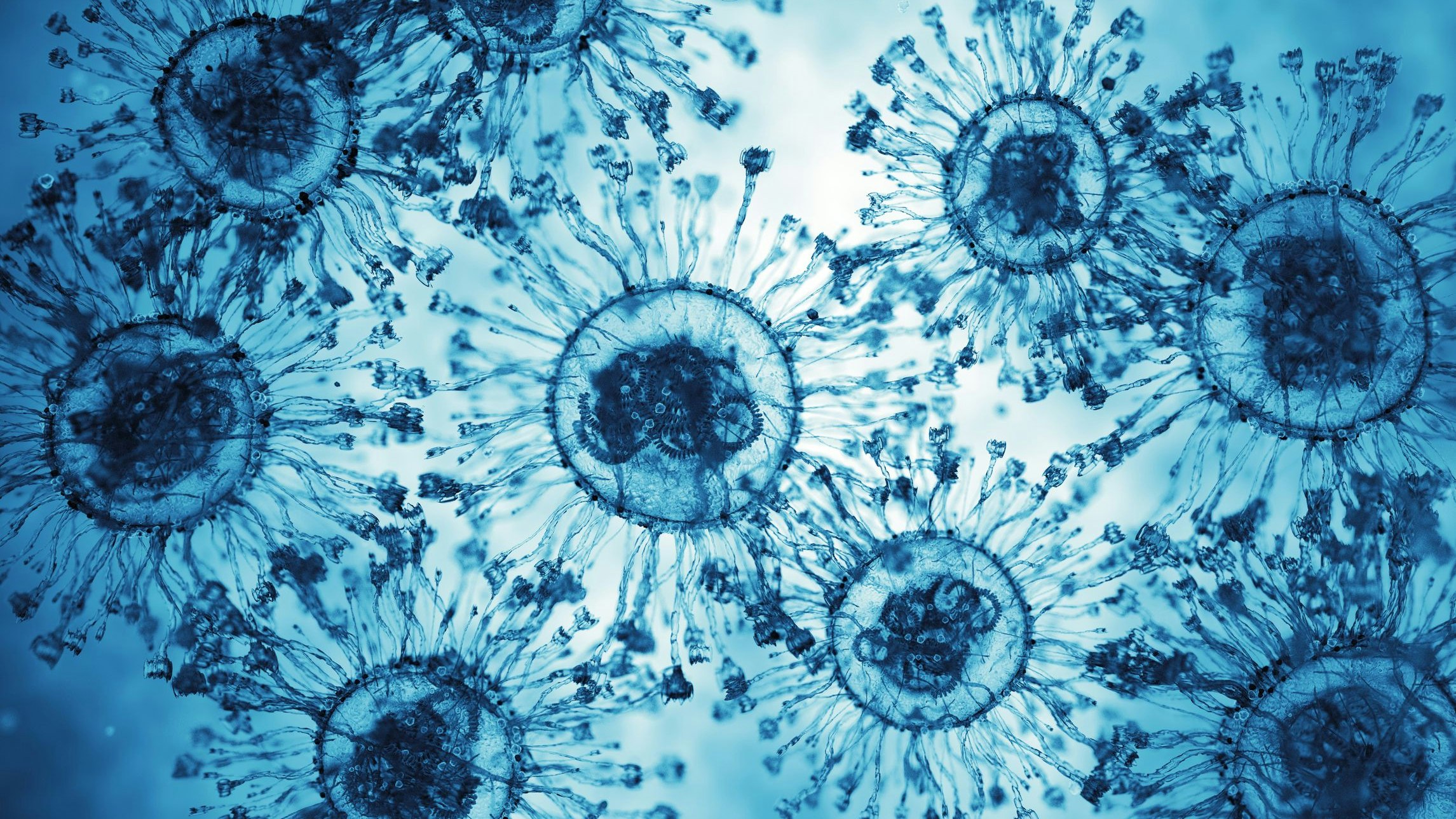 Heute.at - Neue CoV-Variante da – das sind die Symptome