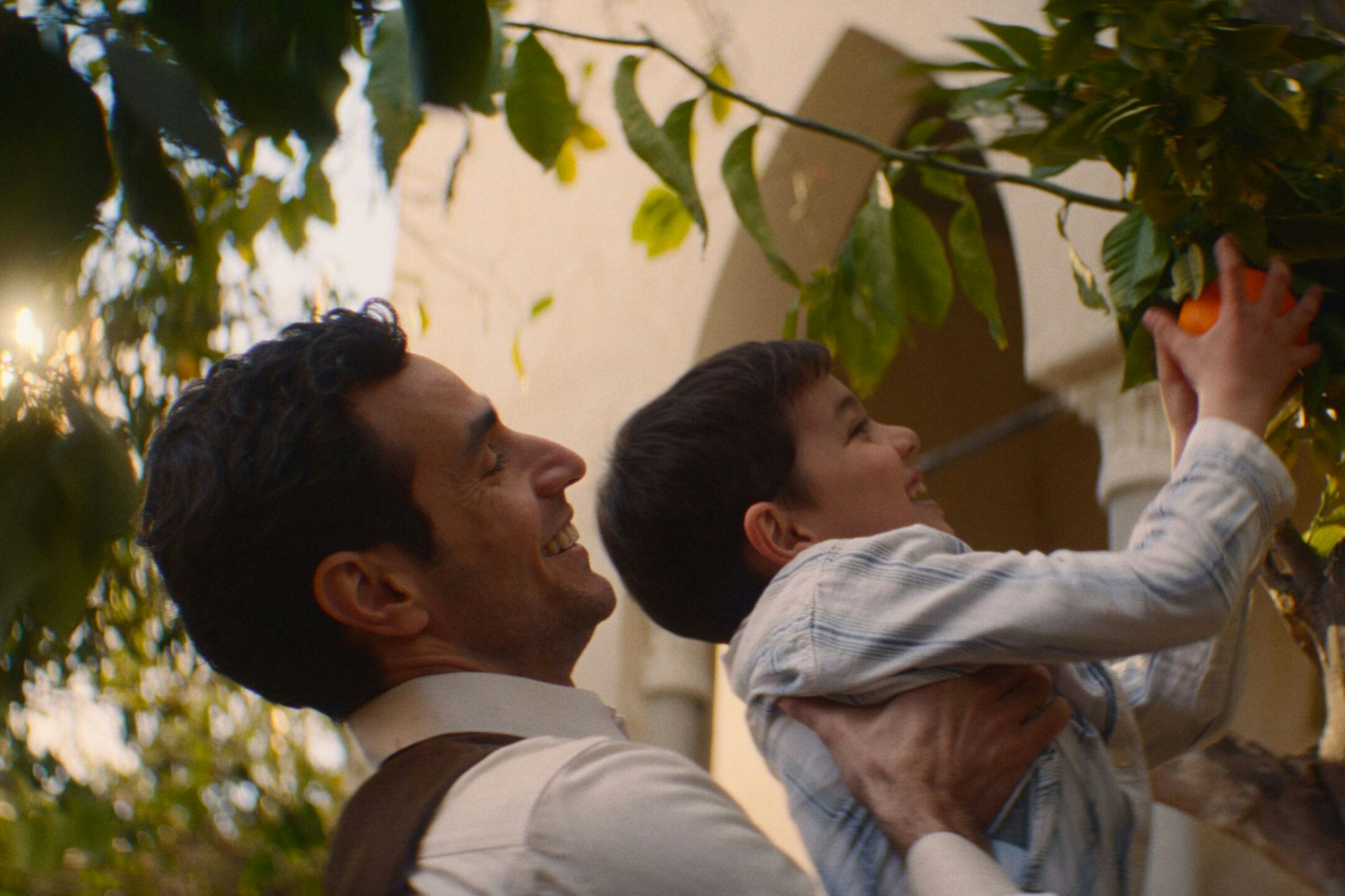 Palästinensische Familiengeschichte über drei Generationen: "Im Schatten des Orangenbaums"