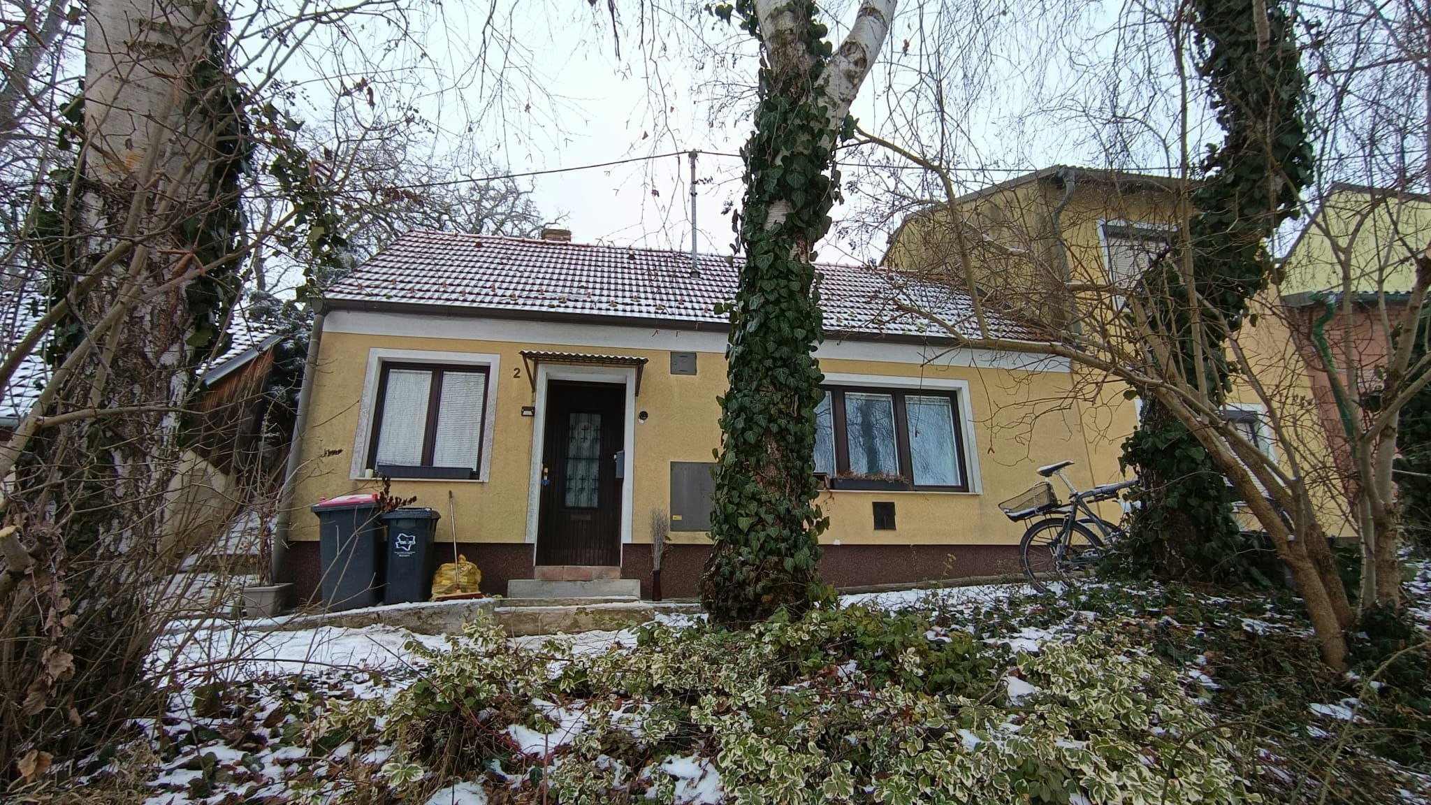 Heute.at - Getötete Frau (36) – Tierfreundin, Partys und Musik