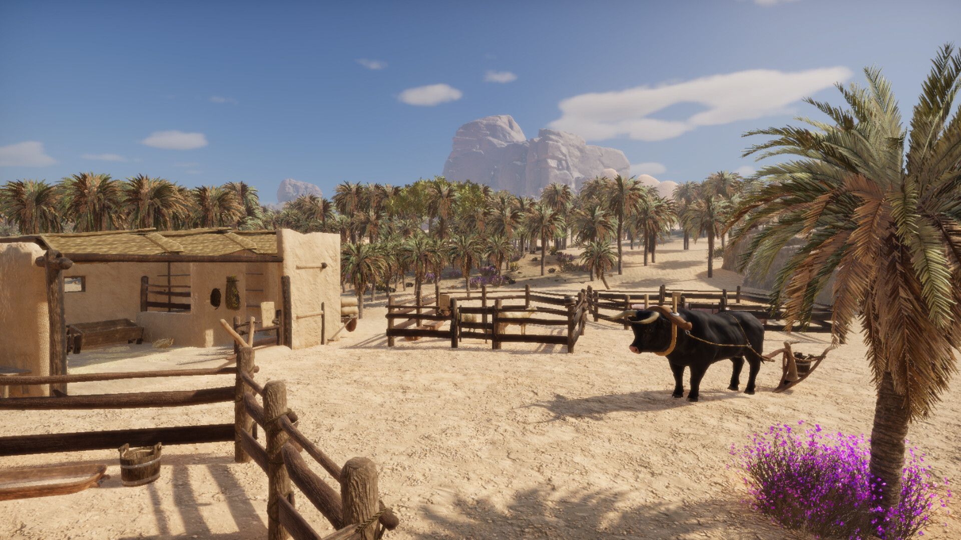 Heute.at - Ancient Farm – Wenn Ägyptens Sand zum Acker wird