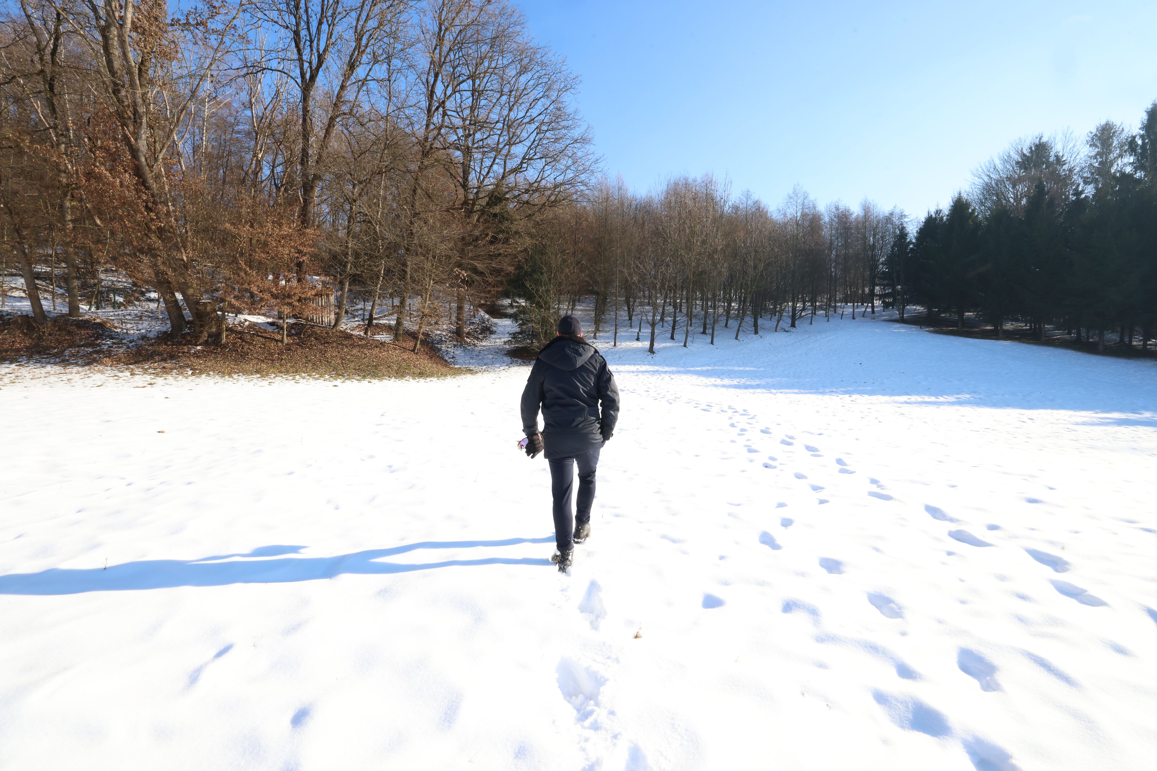 Heute.at - Spuren im Schnee – so wurde Leiche von Johanna gefunden