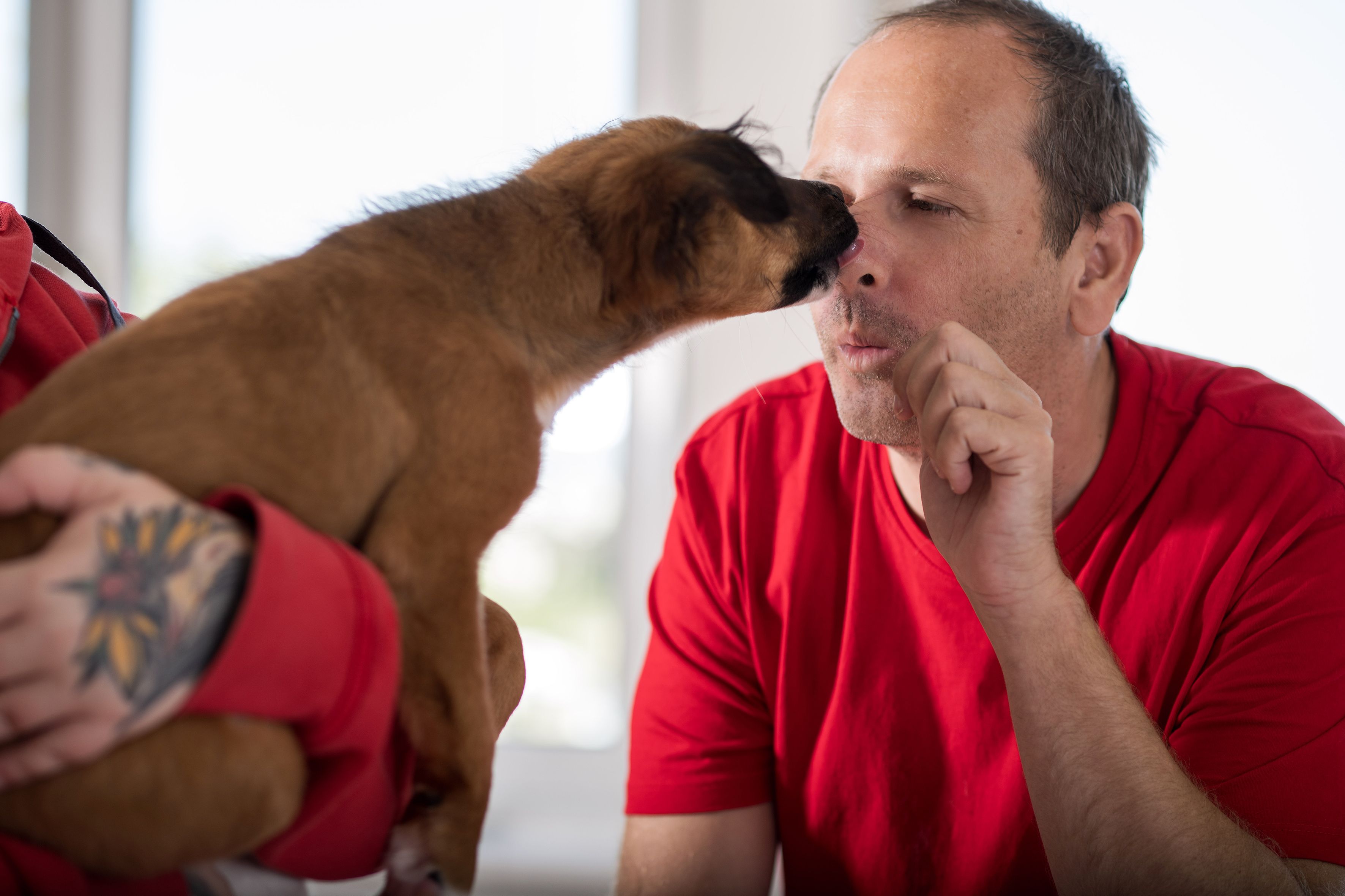 Heute.at - Tierheim Vösendorf: 2025 Rekordzahl an Tieren betreut