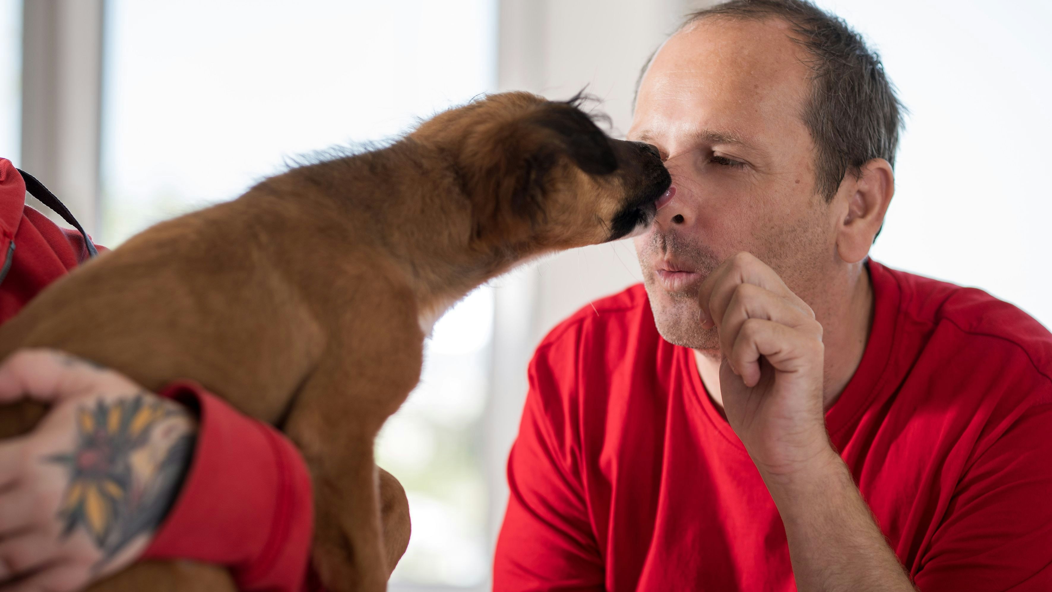 Heute.at - Tierheim Vösendorf: 2025 Rekordzahl an Tieren betreut