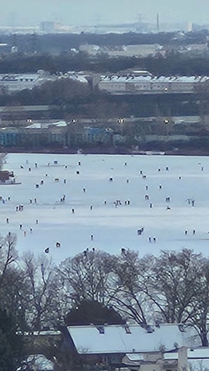 Donau Eis: Trotz Verbot wagen Wiener das Betreten der unsicheren Natureisflächen. Lebensgefahr und Großeinsätze häufen sich aktuell.