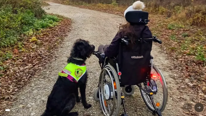 Lisa B. will wieder ohne Begleitung mit ihrem Assistenzhund Lili in der Natur spazieren gehen.