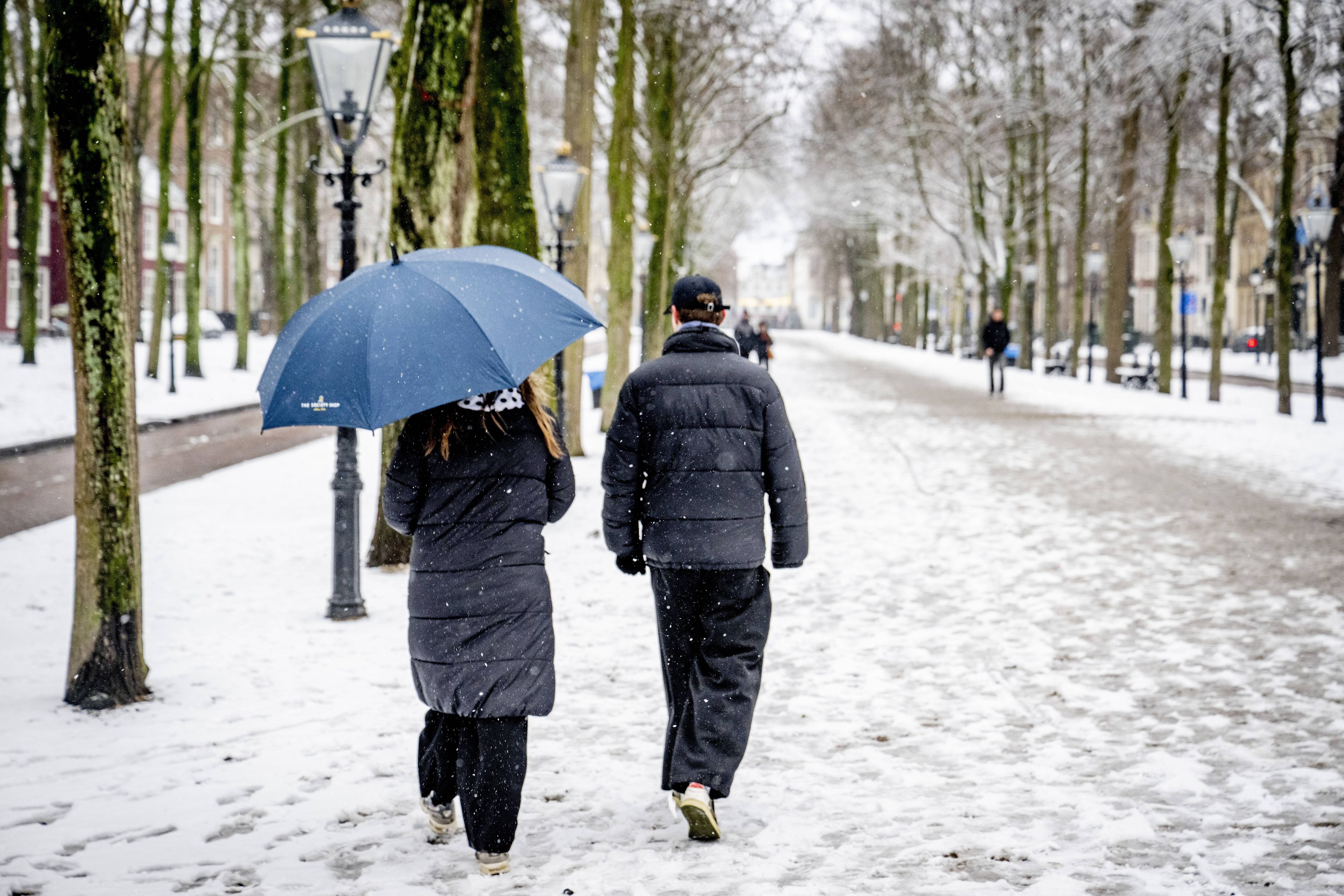 Heute.at - Top-Experte verrät, wo Österreich jetzt weiß wird