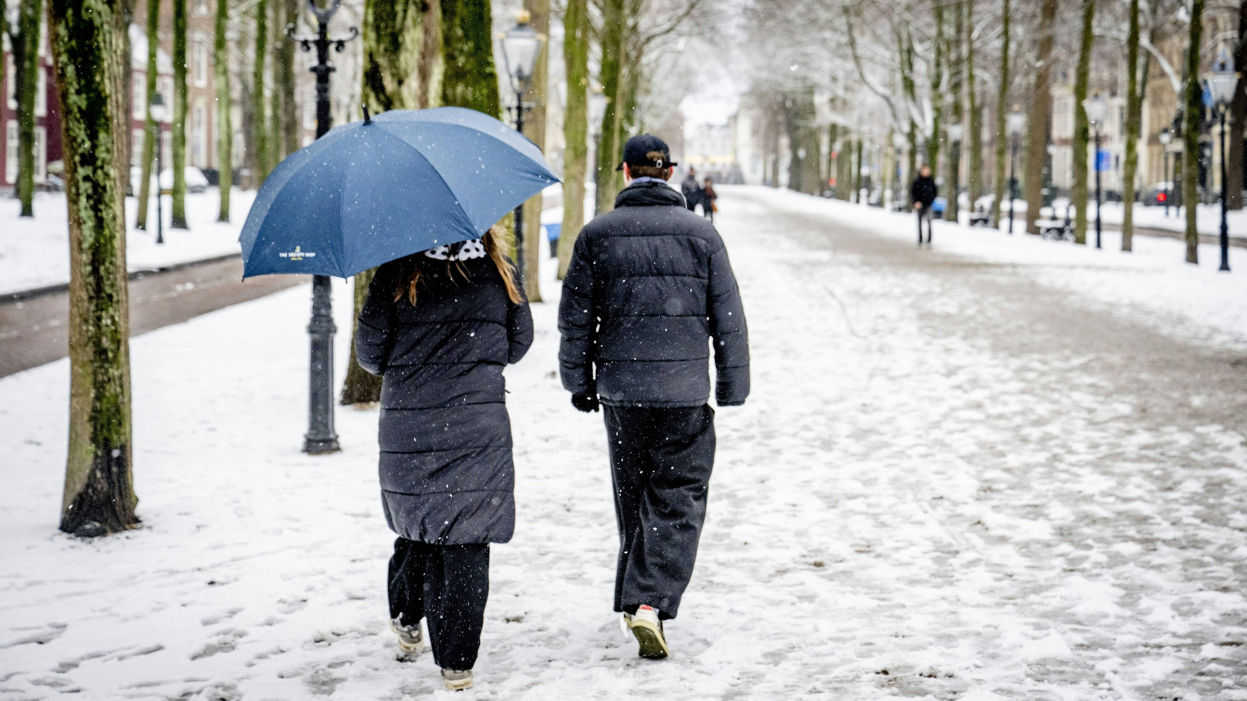 Heute.at - Top-Experte verrät, wo Österreich jetzt weiß wird