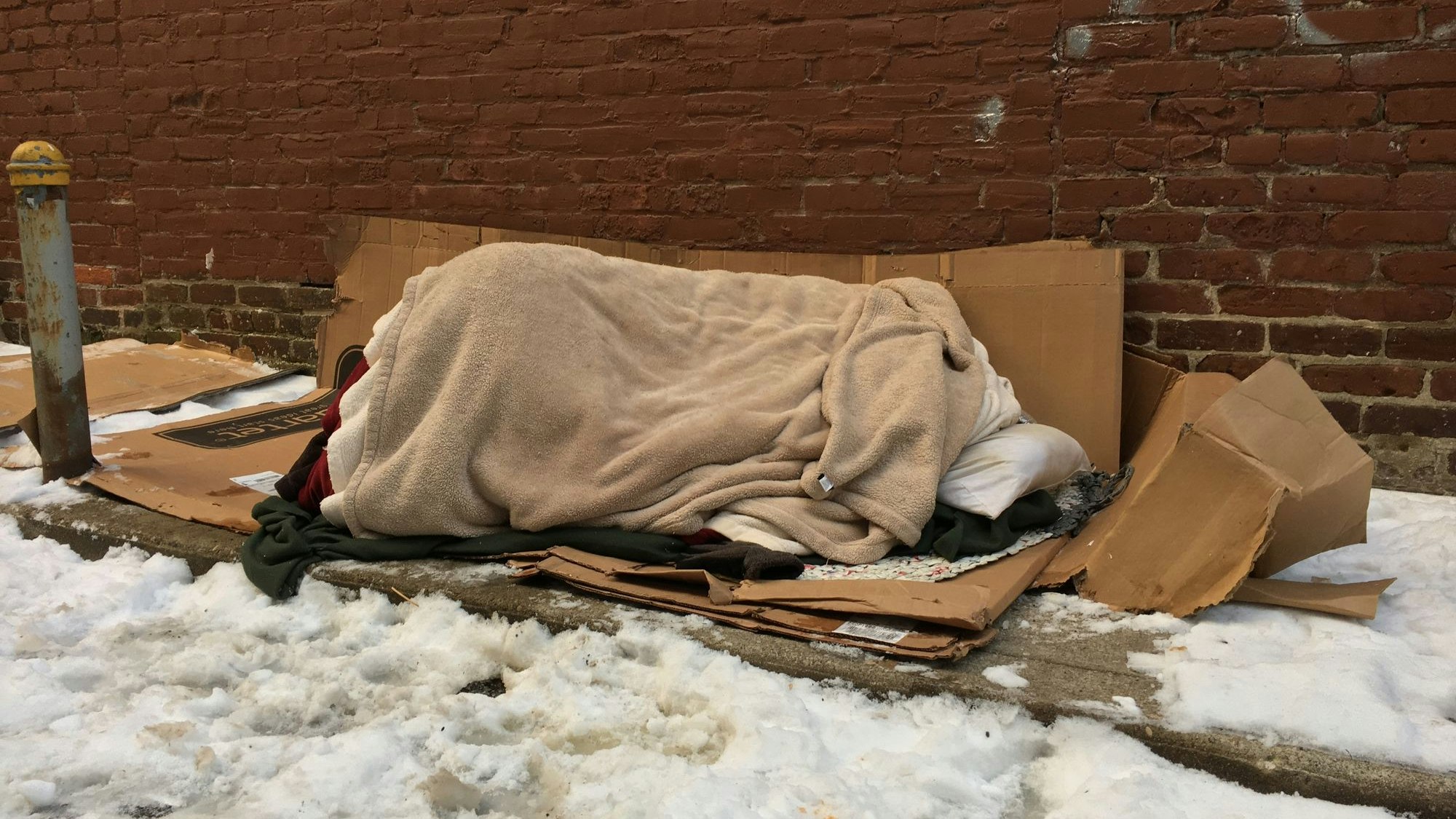 Heute.at - Unerträglich – nach Tragödien warnt FPÖ vor Kälte