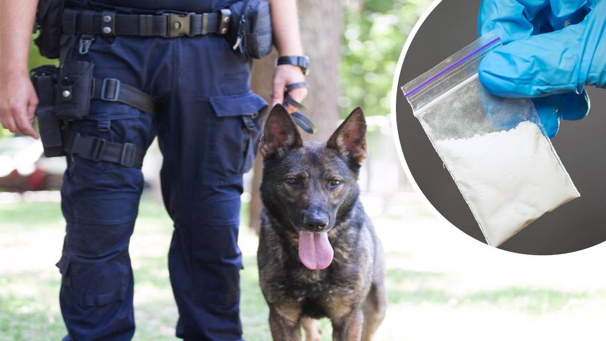 Heute.at - Kiloweise Drogen: Volksgarten in Graz bleibt Schutzzone