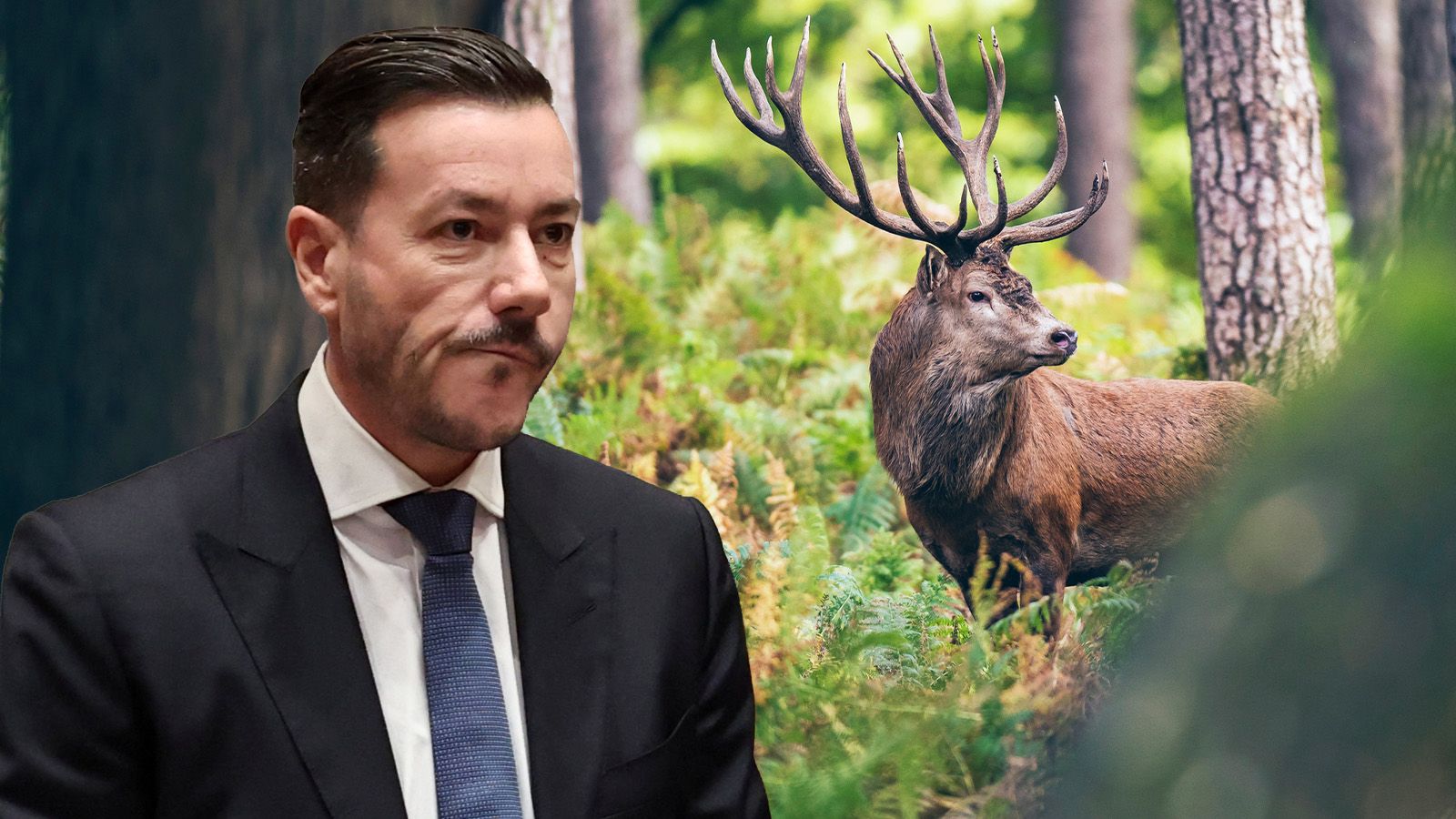 Heute.at - Waffen-Wende im Jagd-Skandal – Benko wieder im Visier