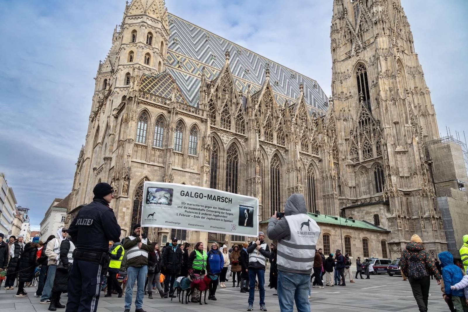 Heute.at - Trifft man dich am dritten Wiener Galgo-Marsch?
