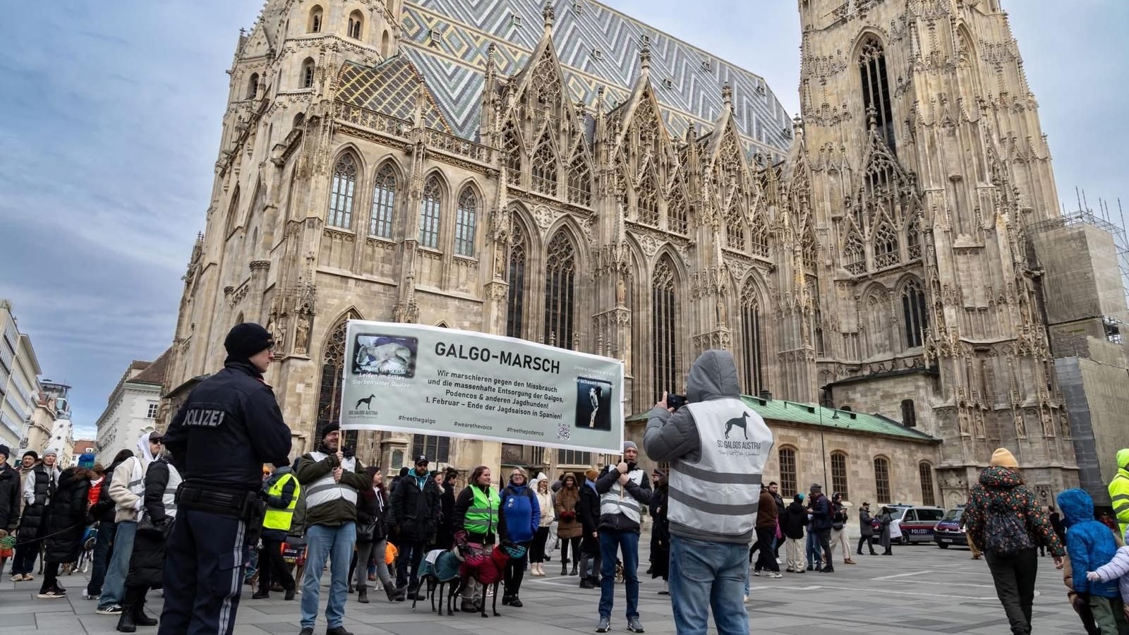 Bereits das dritte Jahr in Folge wir für die ärmsten, spanischen Hunde marschiert. 