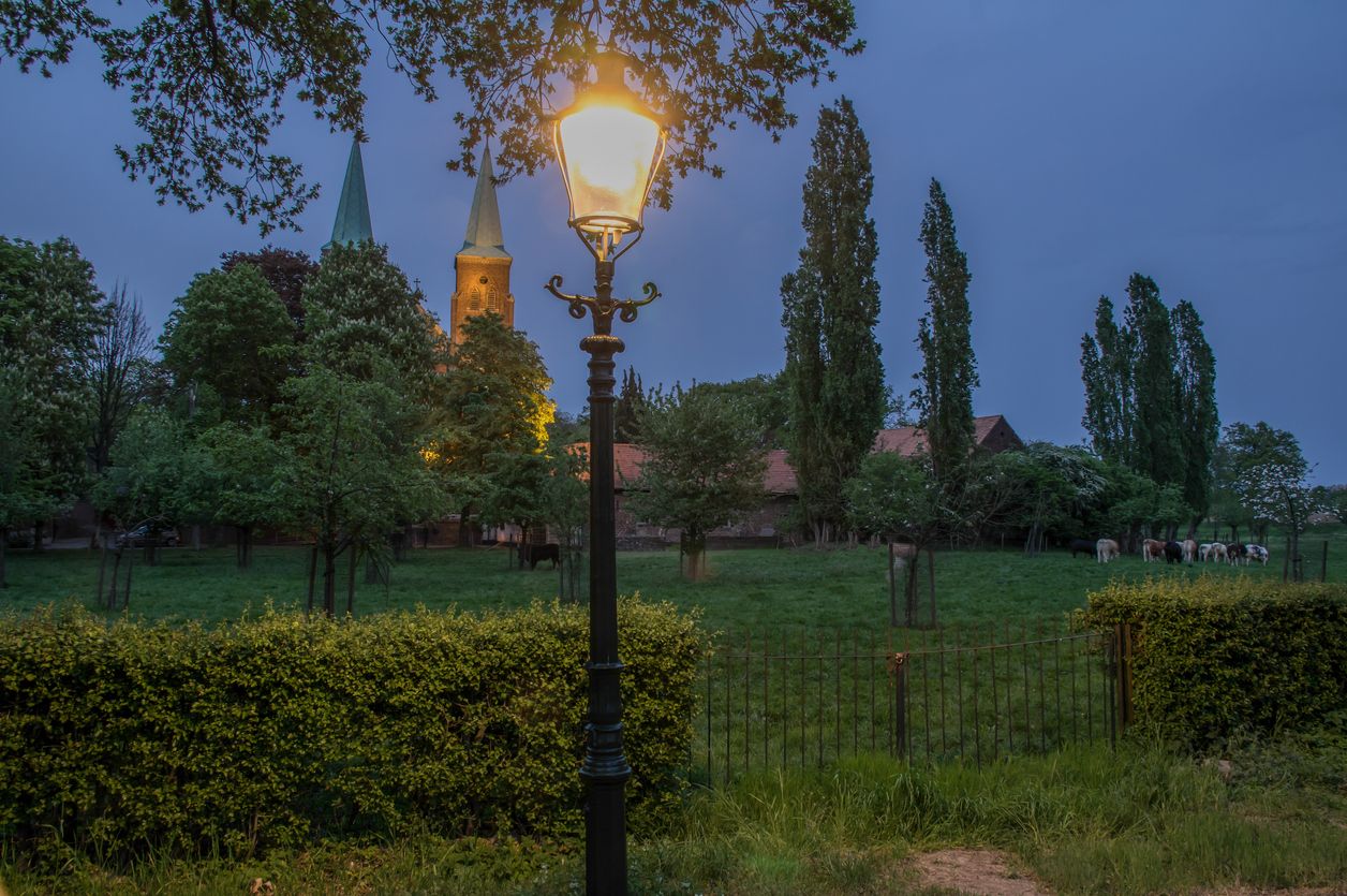 Heute.at - An dieser Laterne bekommen Hunde einen Stromschlag