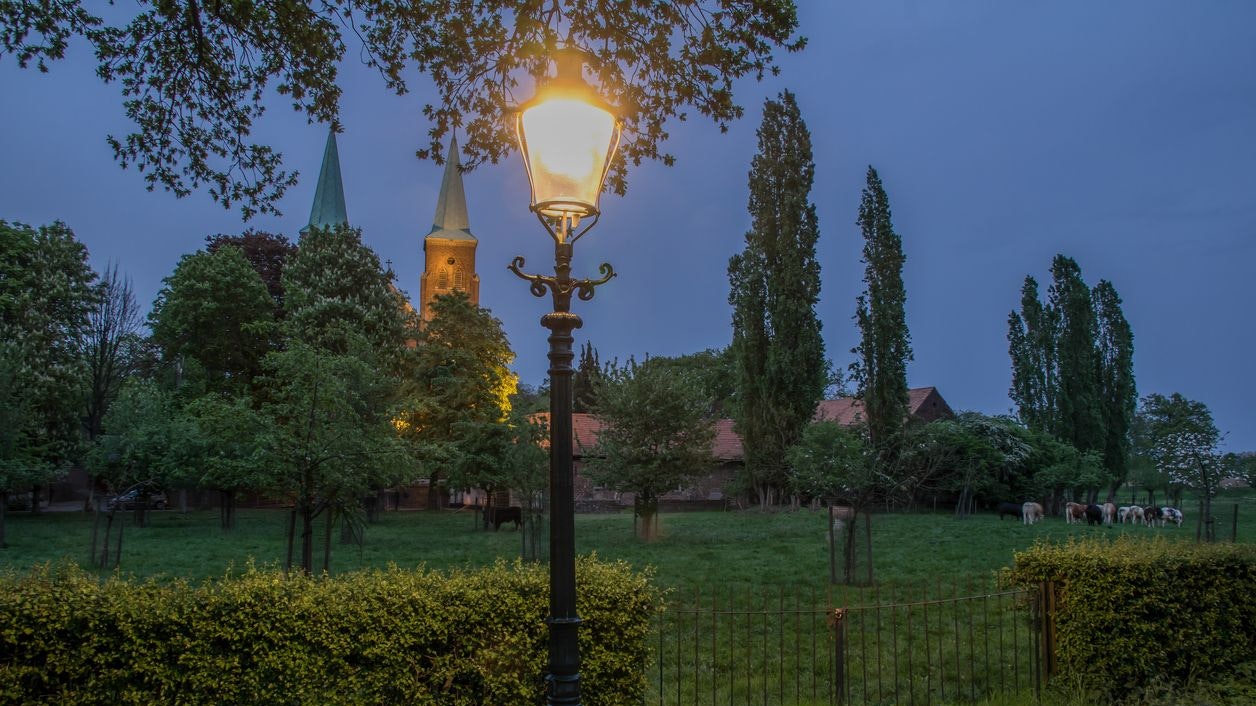 Heute.at - An dieser Laterne bekommen Hunde einen Stromschlag