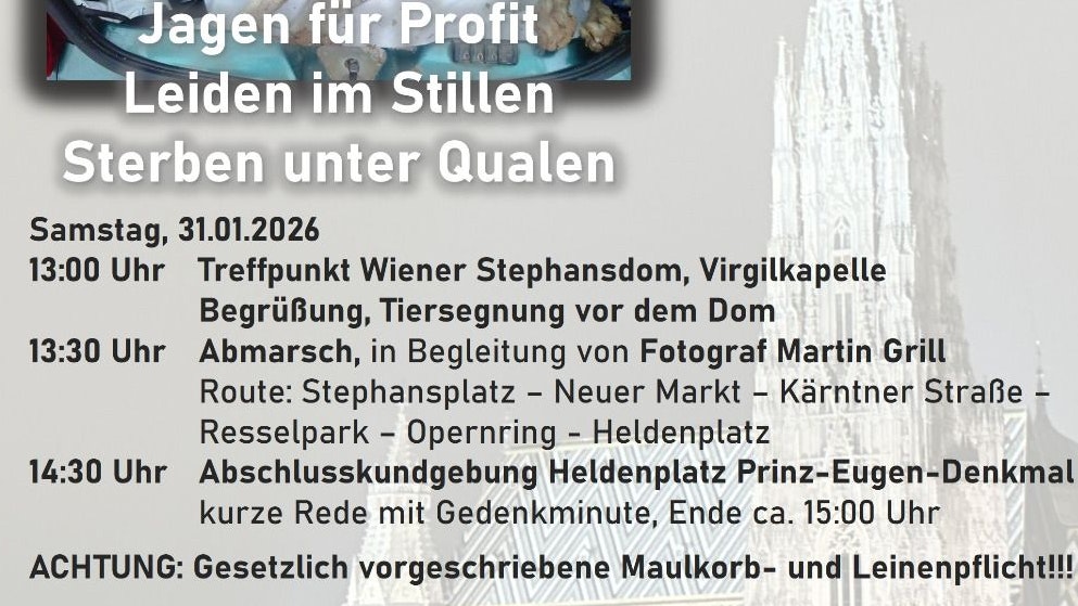 Auf dem Fyler sind alle notwendigen Informationen für den dritten Wiener Galgo-Marsch notiert.