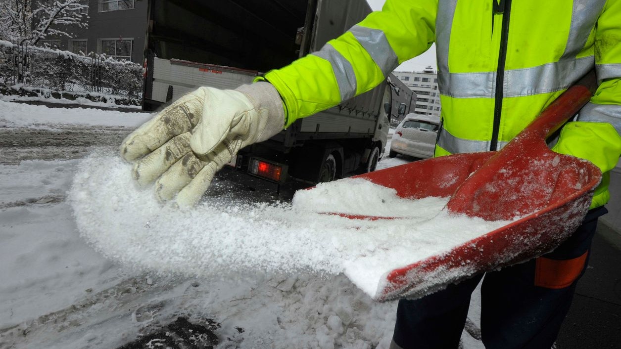 Heute.at - Bundesland will Arbeitspflicht für Asylwerber