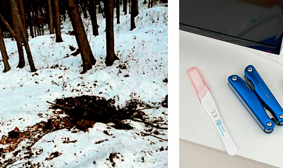 Fundort der Leiche im Wald; der Schwangerschaftstest