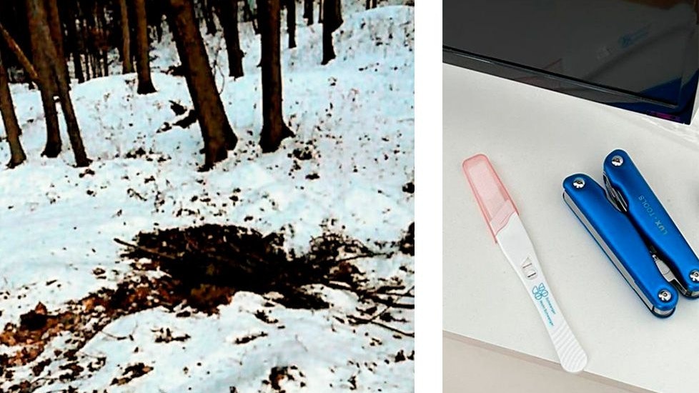 Fundort der Leiche im Wald; der Schwangerschaftstest