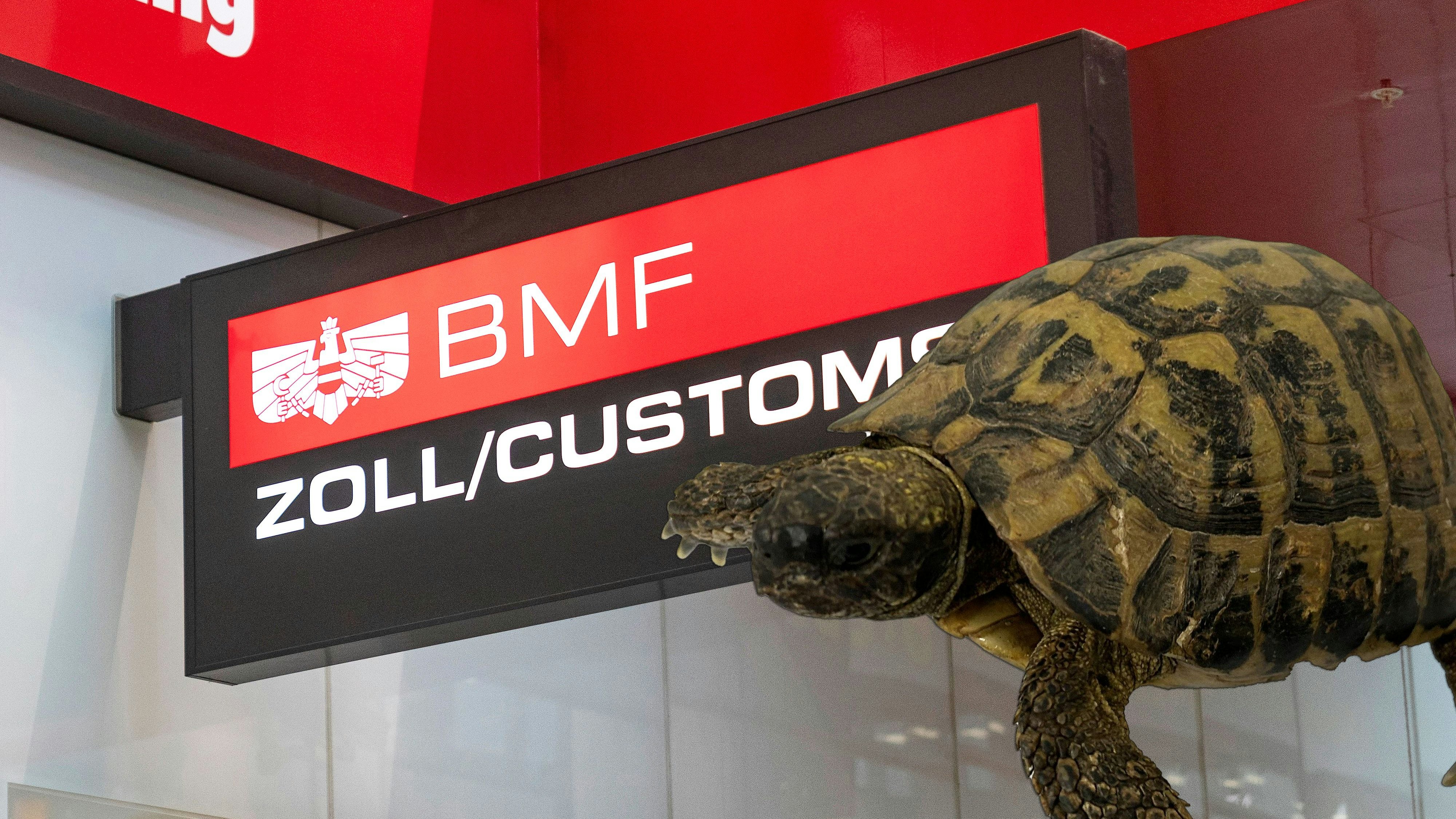 Heute.at - Mit Panzer angerückt – Zoll stoppt Schmuggler-Bande