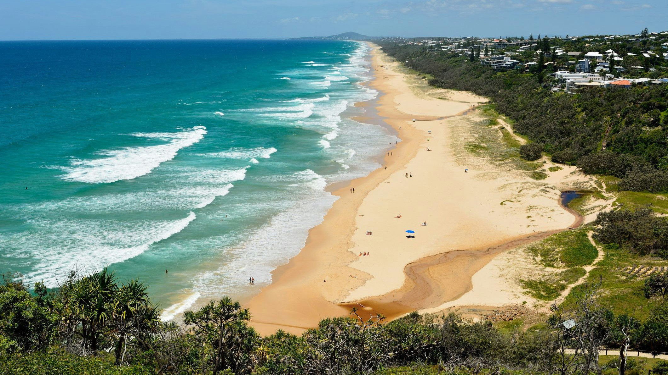 Heute.at - Jugendlicher schwebt nach Hai-Angriff in Lebensgefahr
