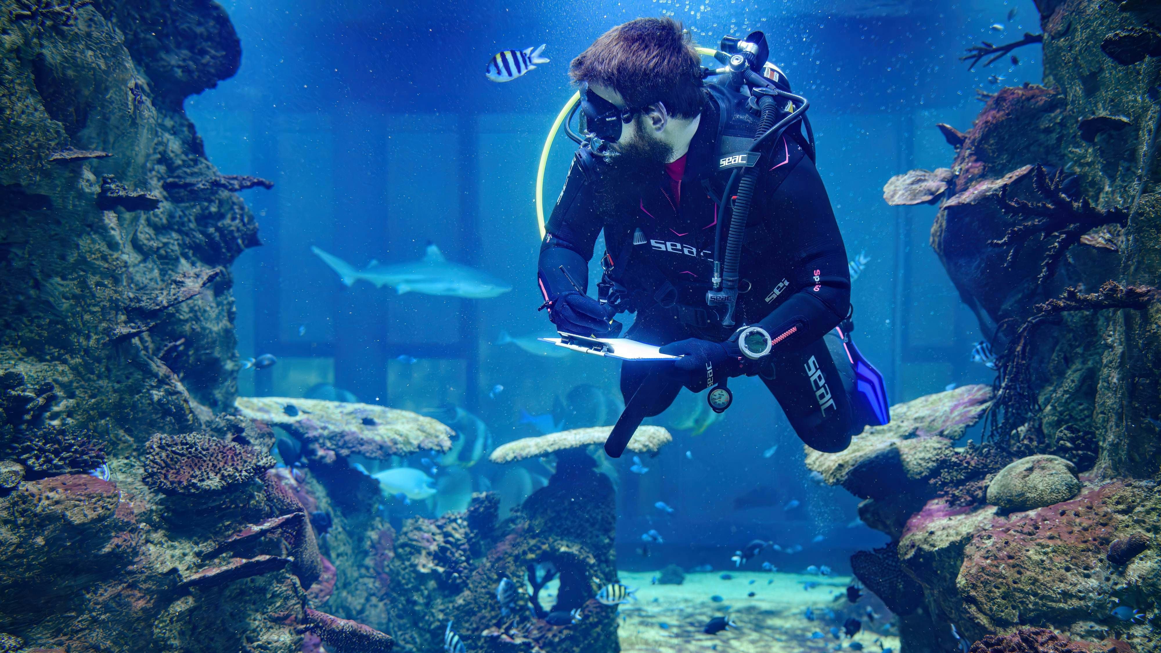 Heute.at - 10.000 tierische Bewohner – Volkszählung unter Wasser