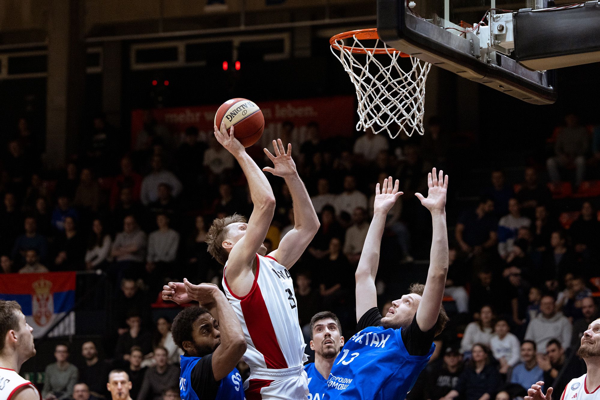 BC VIENNA vs. Spartak Subotica