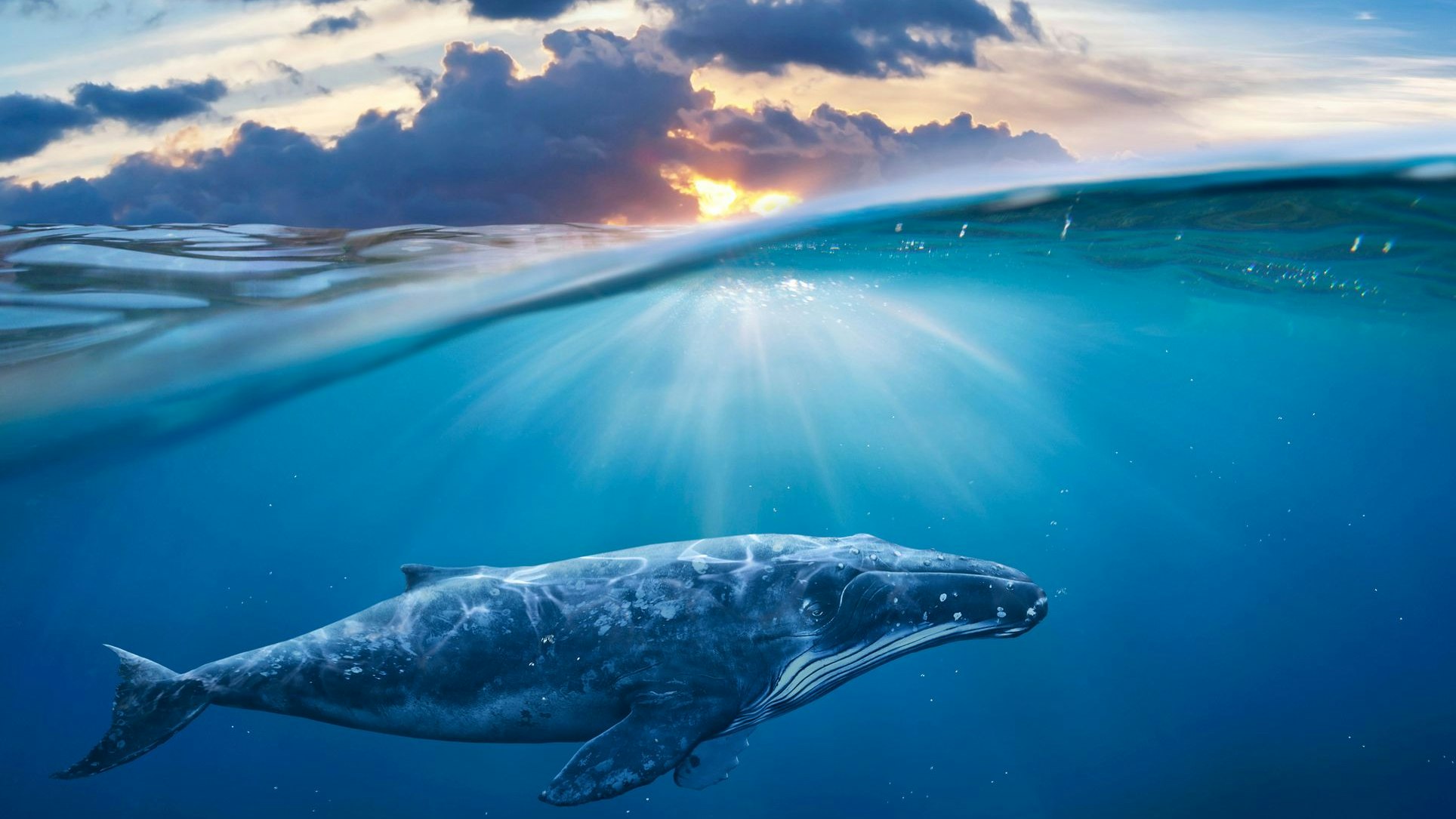 Heute.at - Krise im Pazifik – Wetter-Phänomen La Niña am Vormarsch