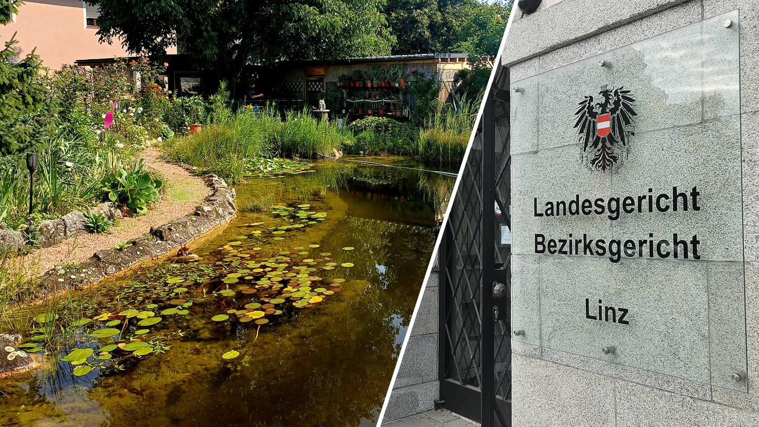 Die Frösche im Teich der Familie quakten dem Nachbar zu laut. Jetzt kippte das Linzer Landesgericht das erste Urteil.