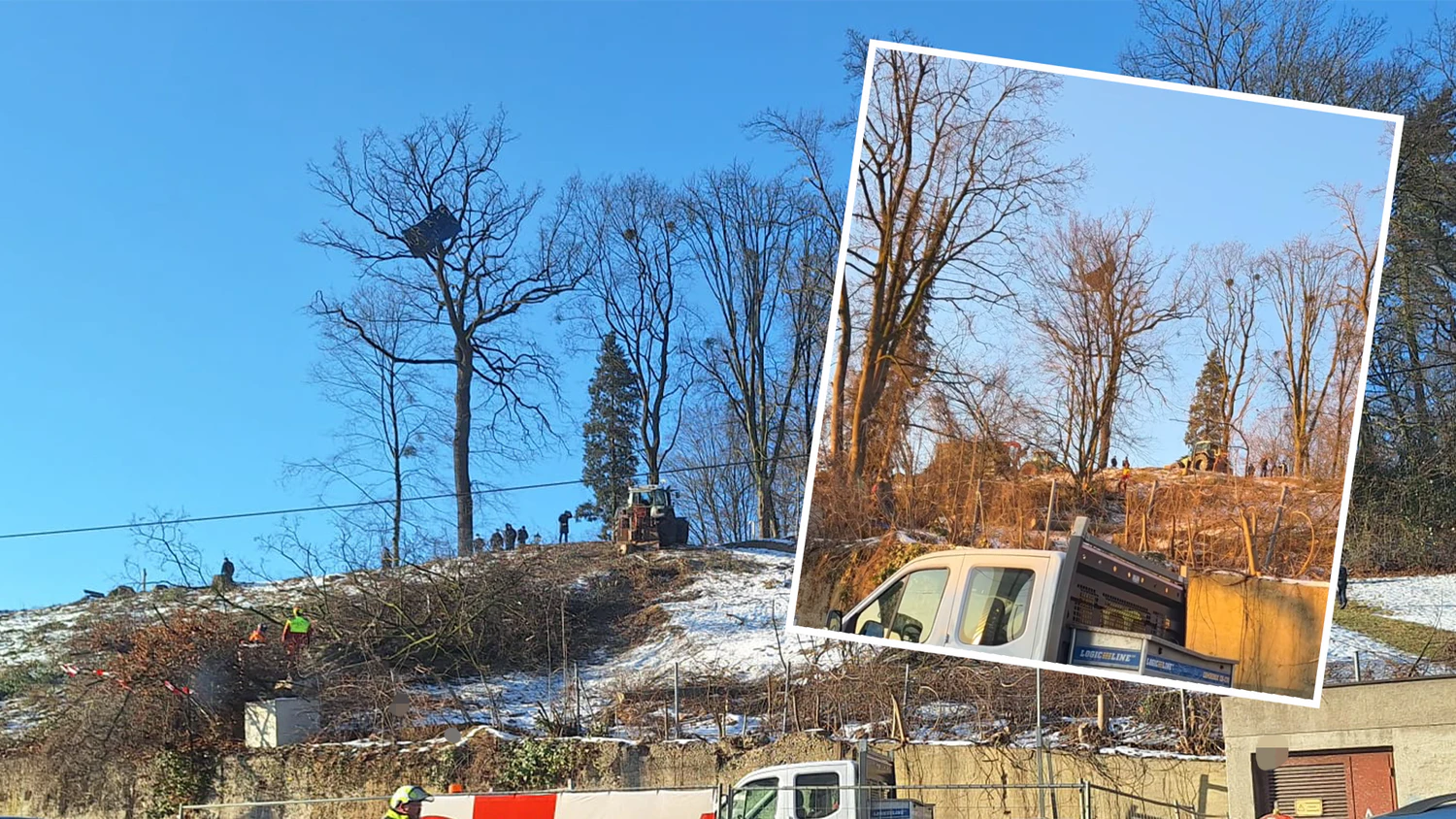 Am Montag starteten unter Polizeischutz die letzten Rodungsarbeiten im Linzer Bergschlößlpark für den Westring.