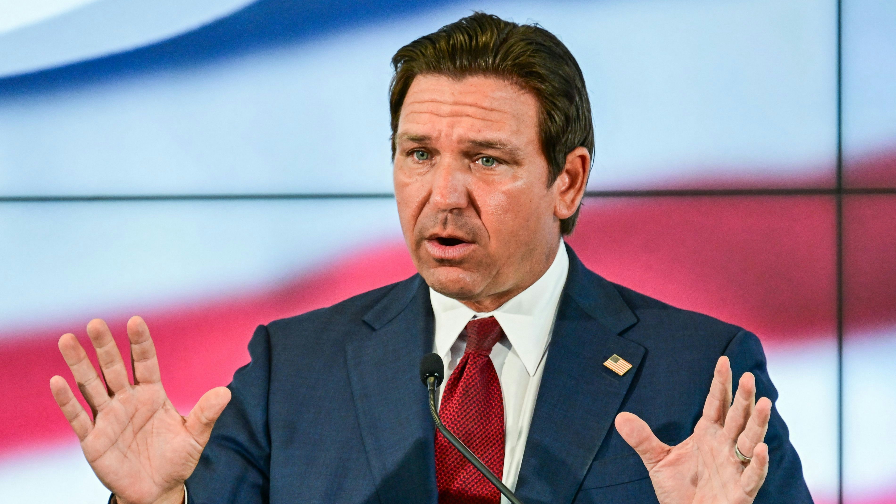 Heute.at - Hier stehen Tierquäler ab sofort in einer Datenbank