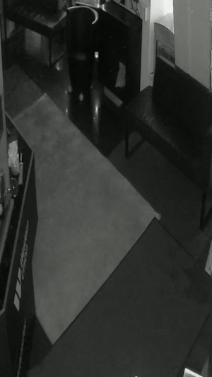 Einbruchs-Serie Wien: Polizei fasst Teenie-Bande nach mehreren Einbrüchen in Shops. PlayStation 5 und Smartphones sichergestellt. Video zeigt Tat.