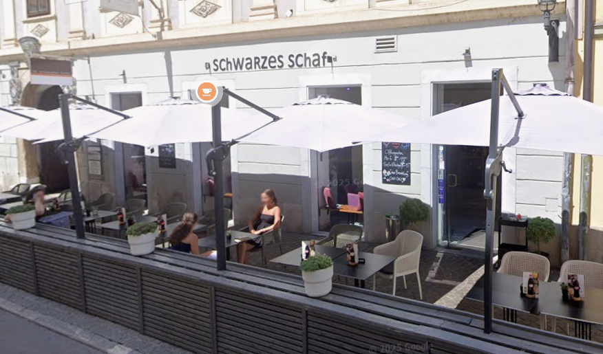 Heute.at - Schwarzes Schaf meldet Konkurs an, Zukunft ungewiss