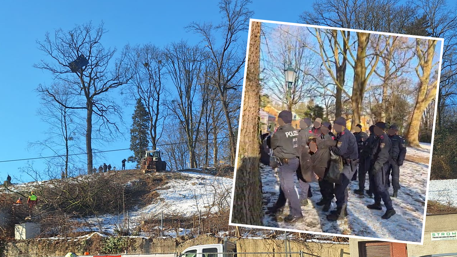 Am Montag starteten unter Polizeischutz die letzten Rodungsarbeiten im Linzer Bergschlößlpark für den Westring. Ein Aktivist wurde festgenommen.