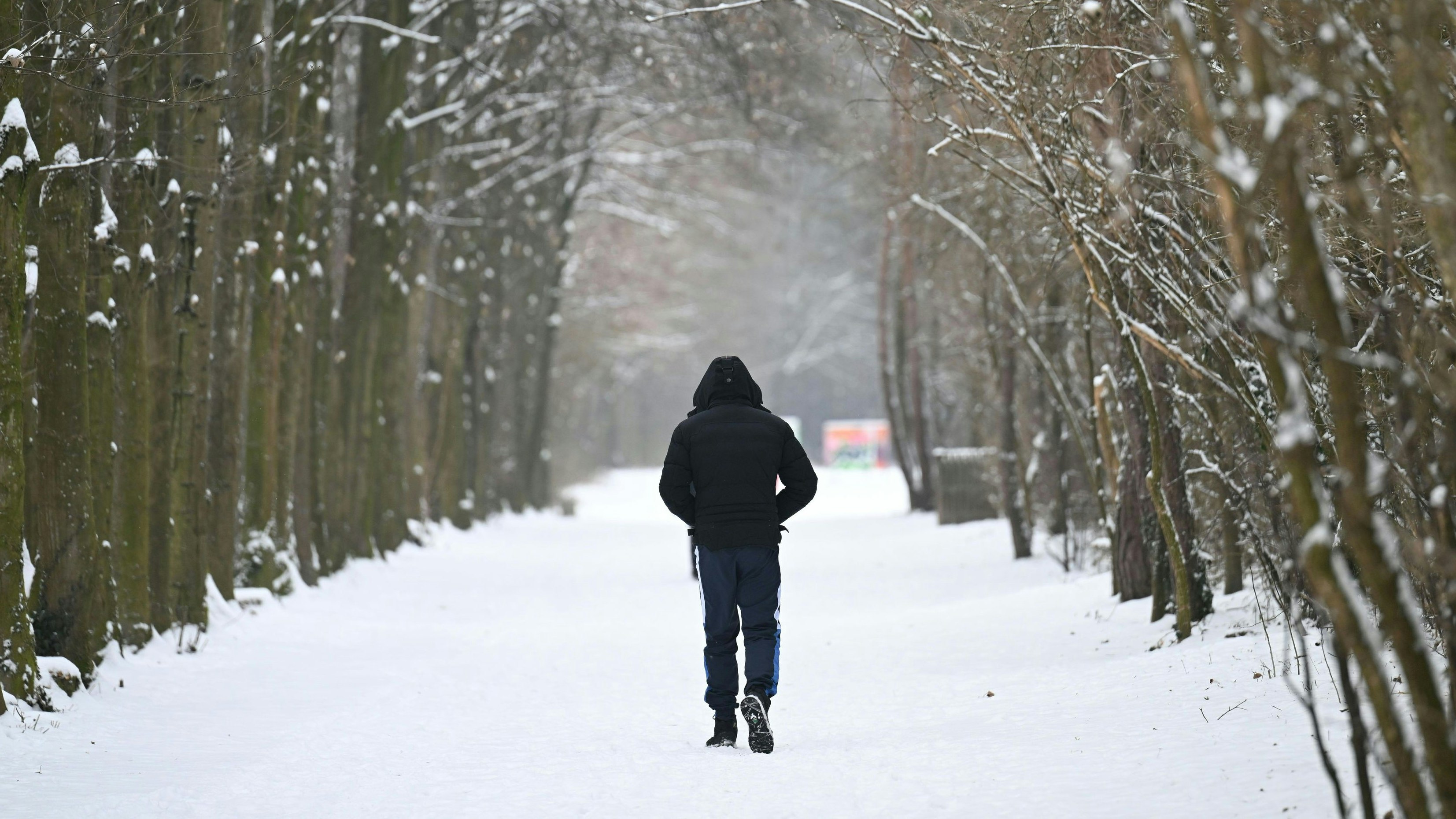 Heute.at - Diese Bauernregel sagt 40 Tage Dauerfrost voraus
