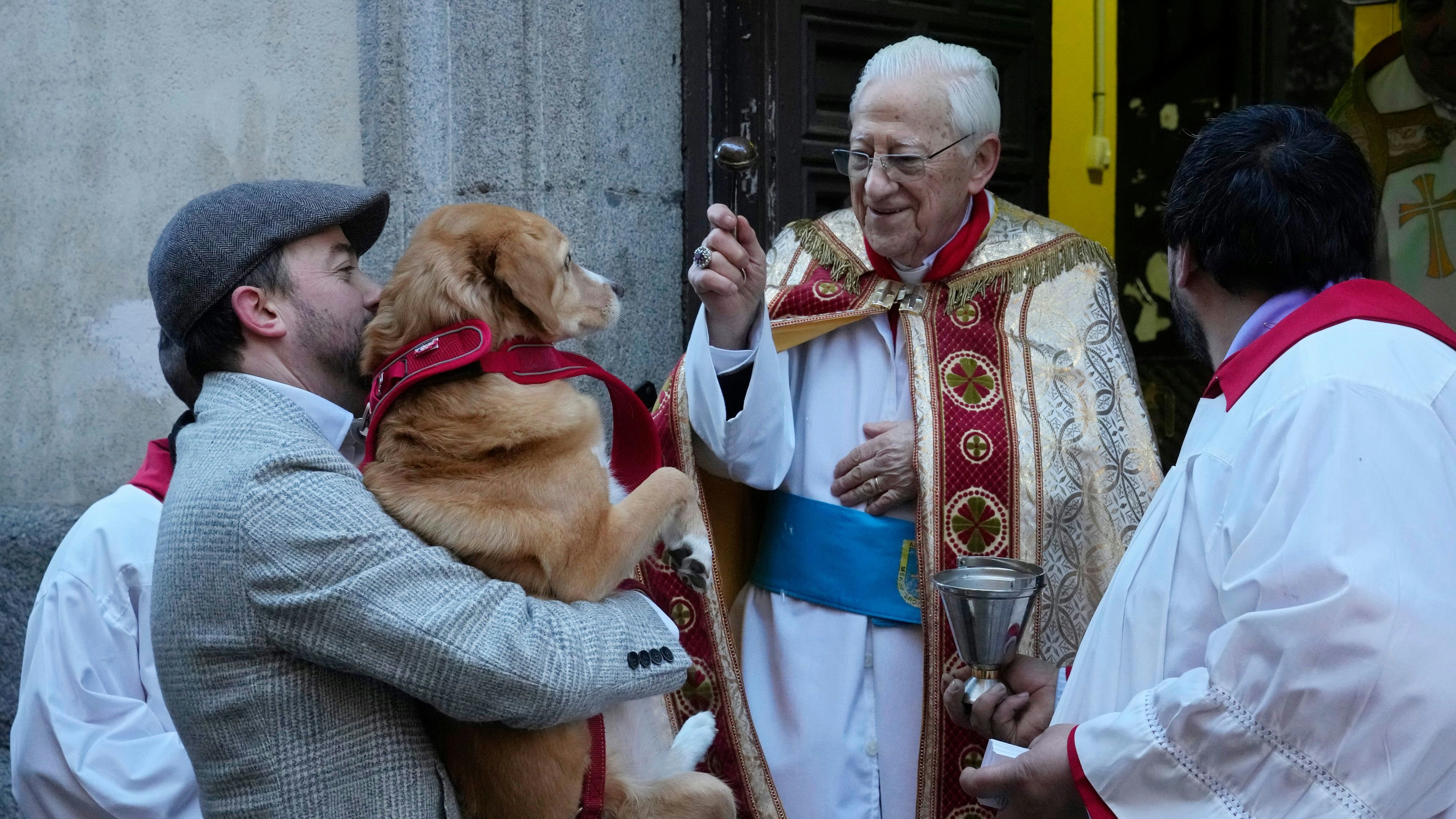 Jedes Jahr warten hunderte Tierbesitzer auf die Segnung ihrer Haustiere. 