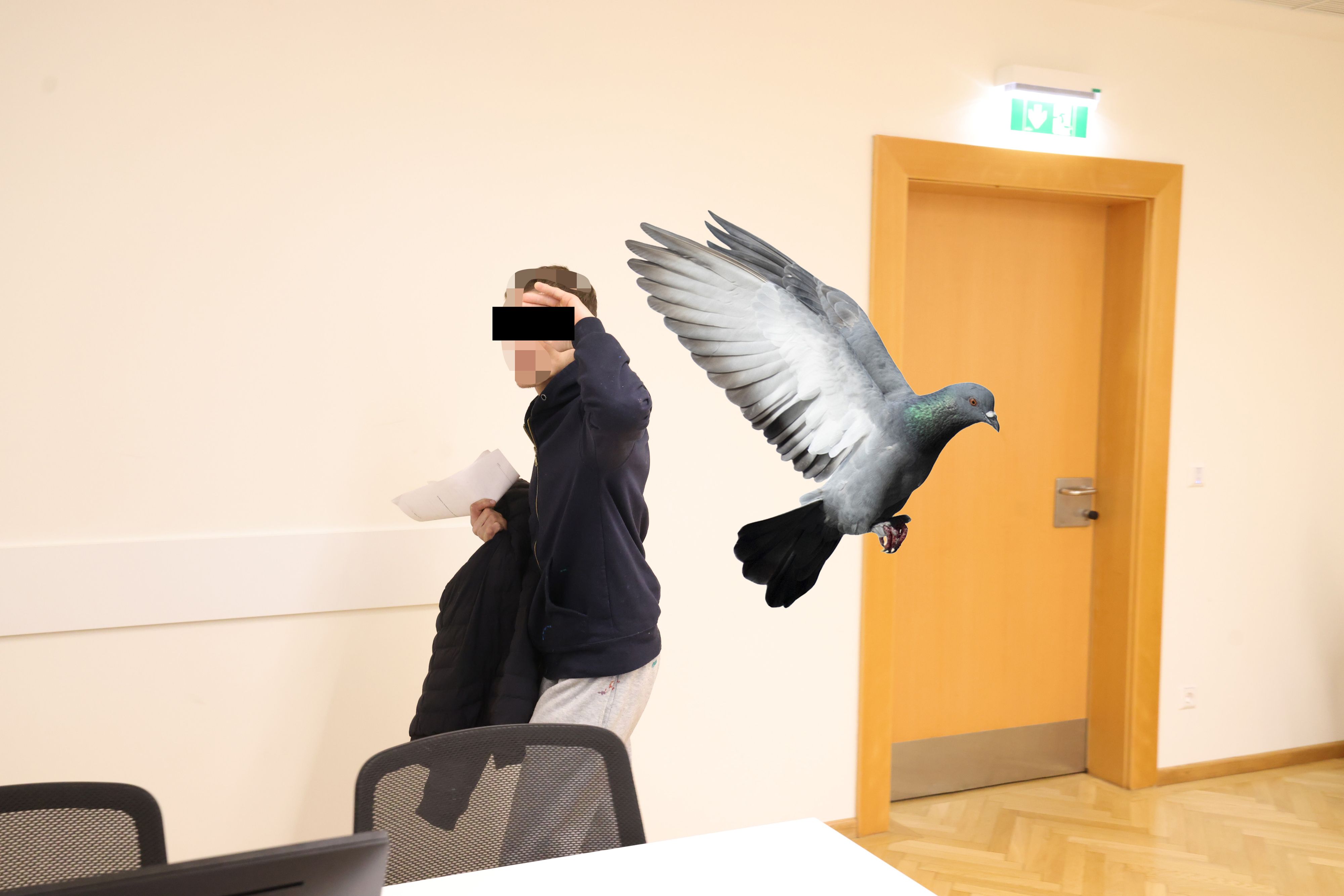 Verdächtiger steckte Taube in Hosentasche – das Tier starb.