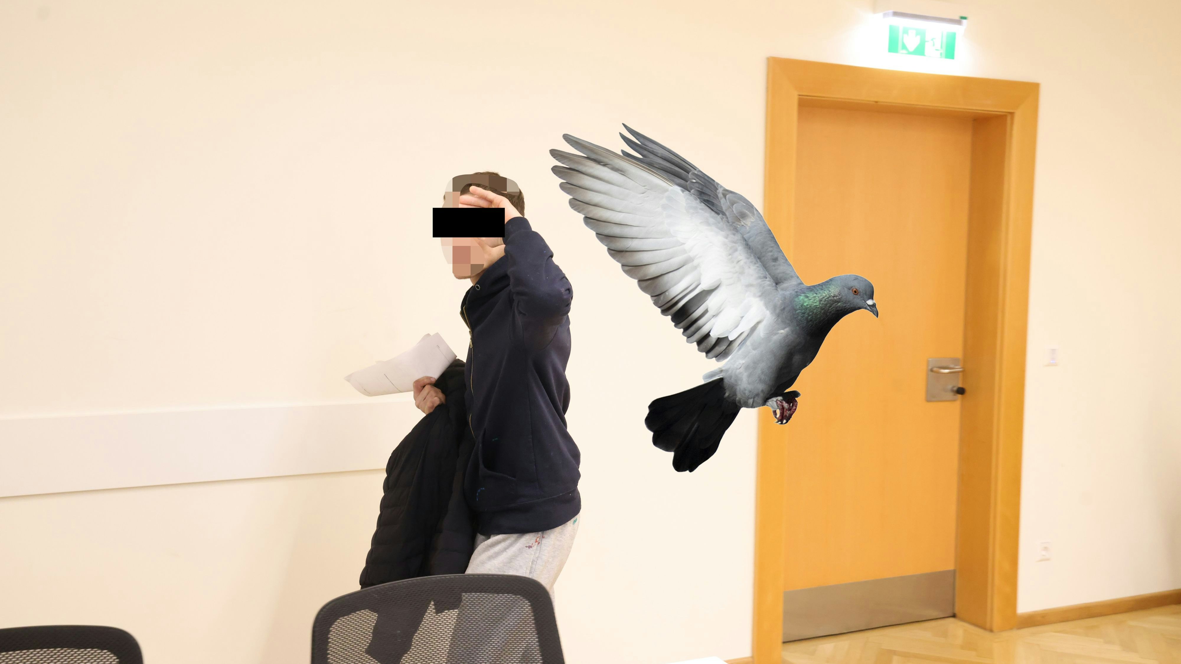 Heute.at - Wollte Haustier – Wiener steckte Taube in Hosentasche