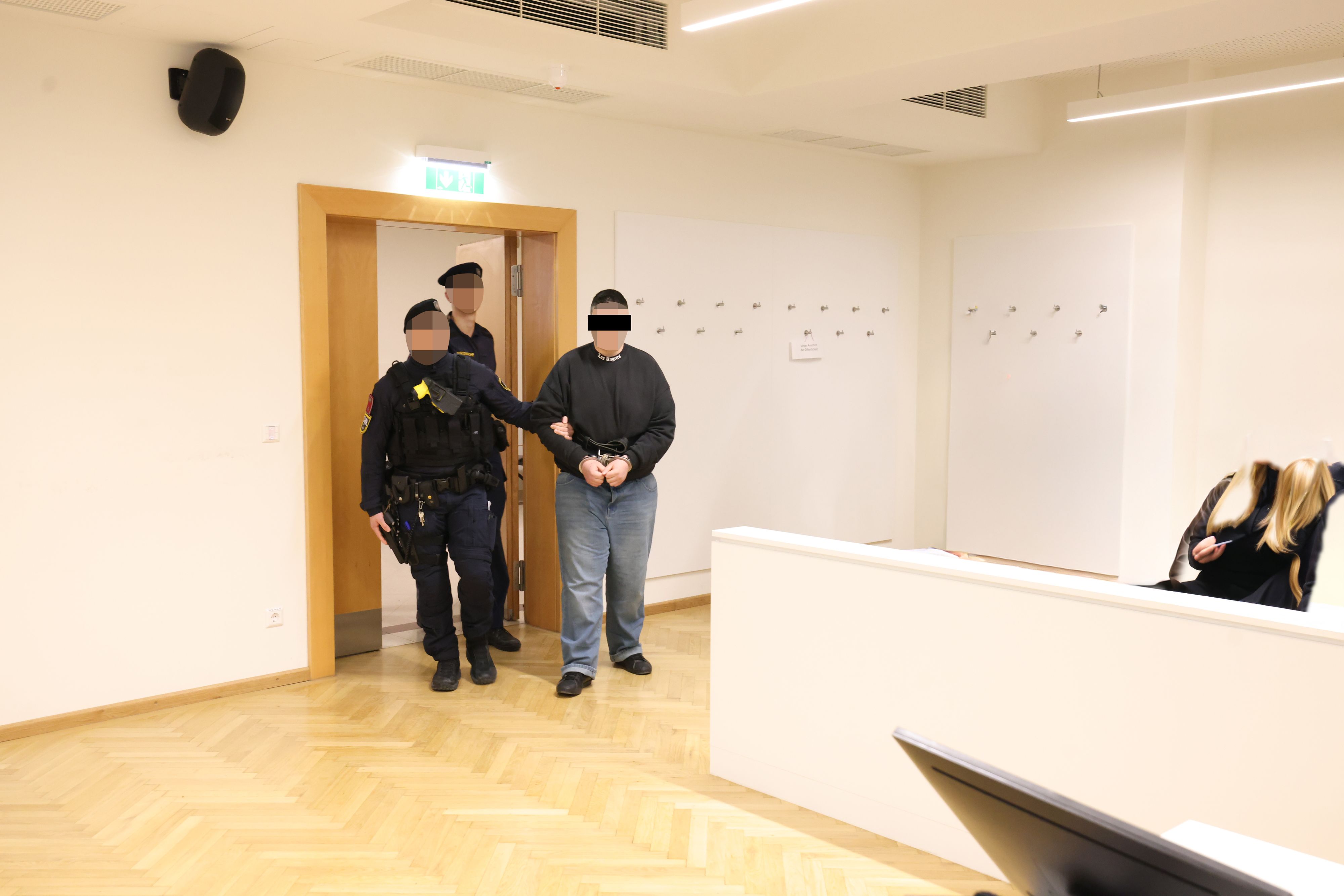 18-Jähriger stand wegen versuchten Mordes vor Gericht in Wien.