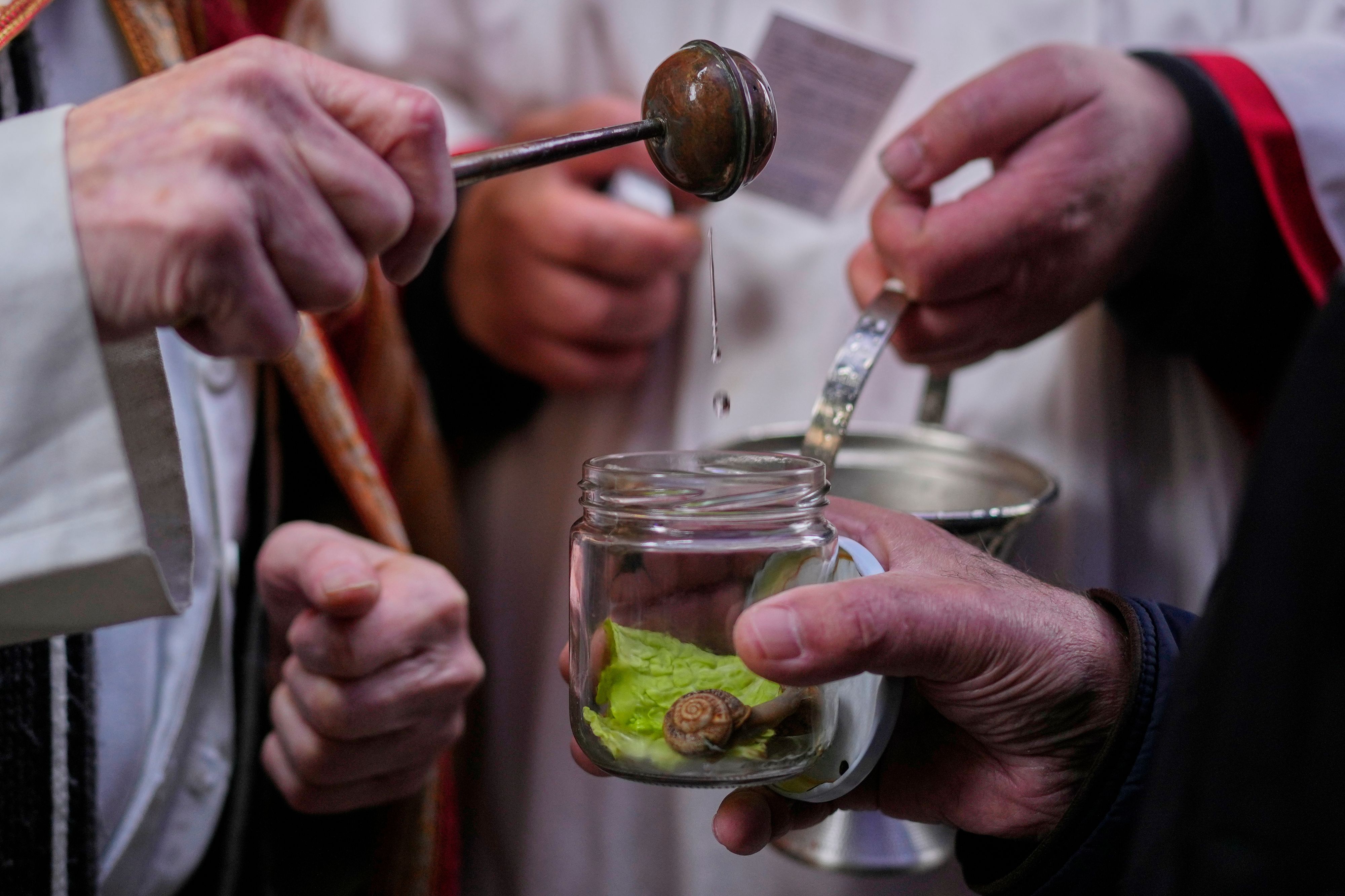 Hunde, Katzen, Pferd gehören zum 