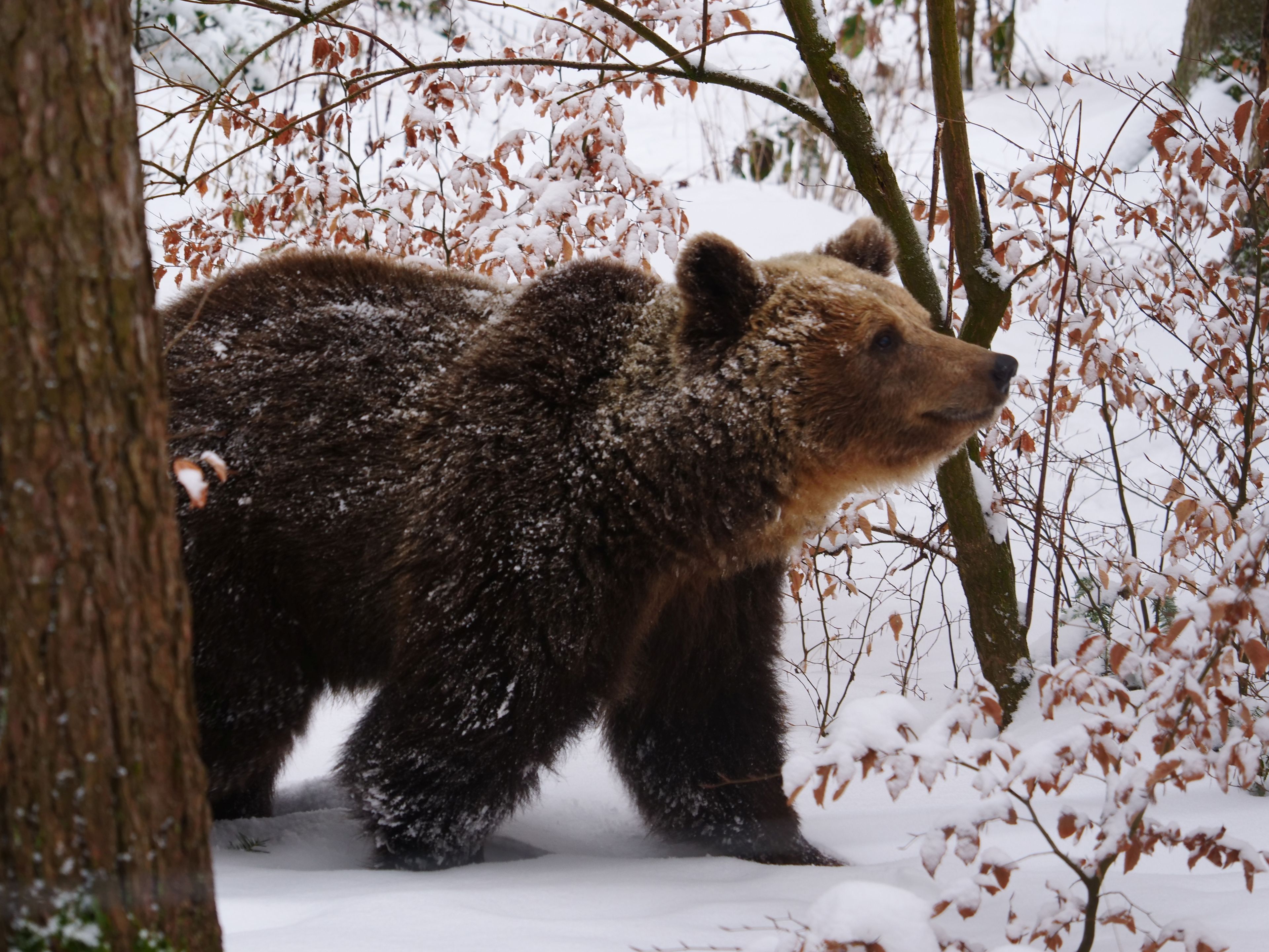 Während andere tief schlafen, ist 