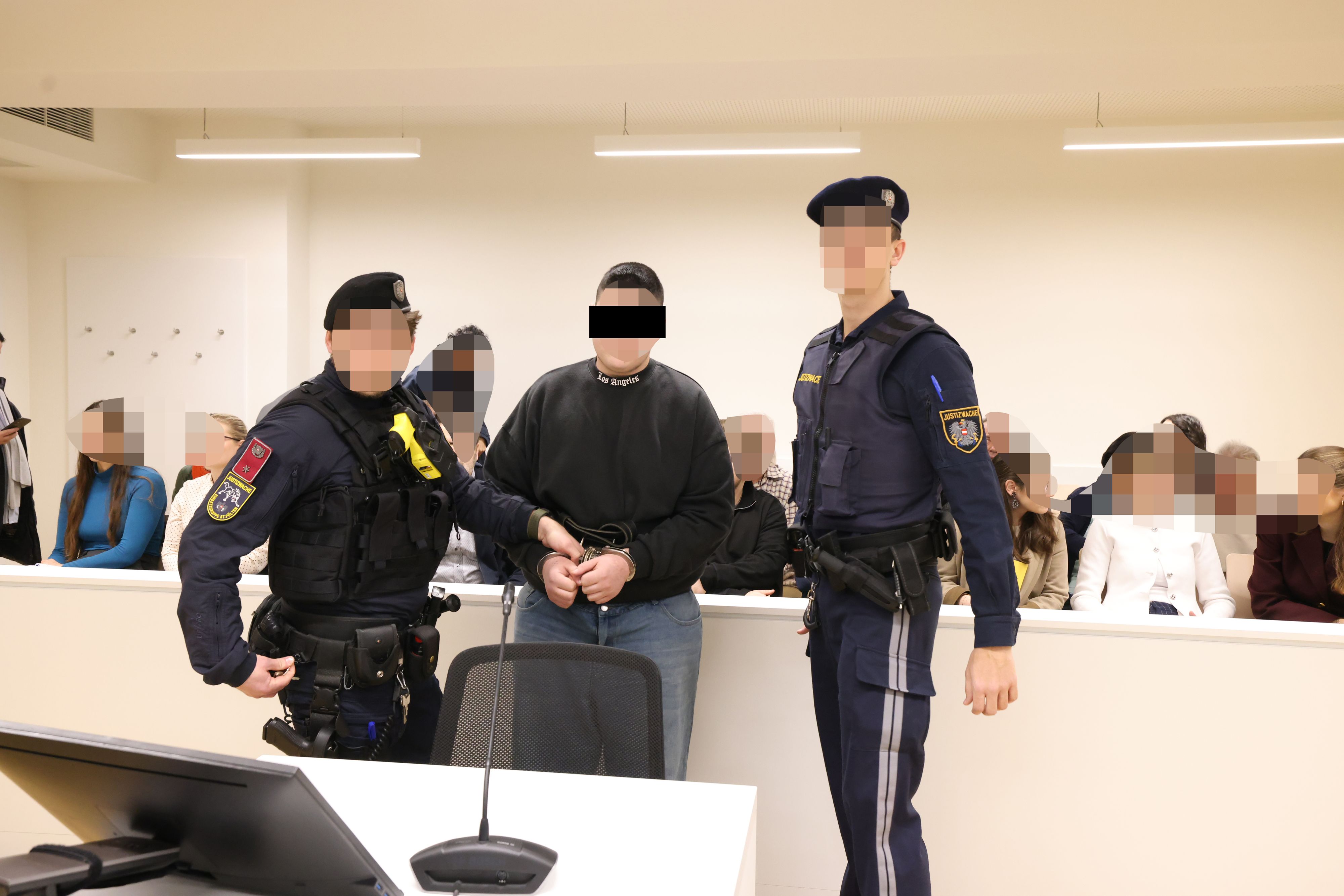 18-Jähriger stand wegen versuchten Mordes vor Gericht in Wien.