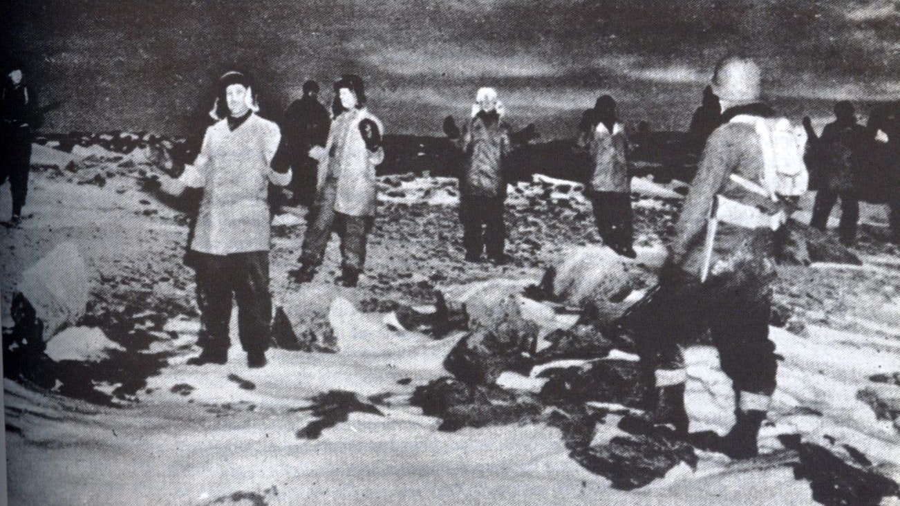 Grönland, Oktober 1944: Besatzung der deutschen Wetterstation "Edelweiss II" ergibt sich den US-Amerikanern.