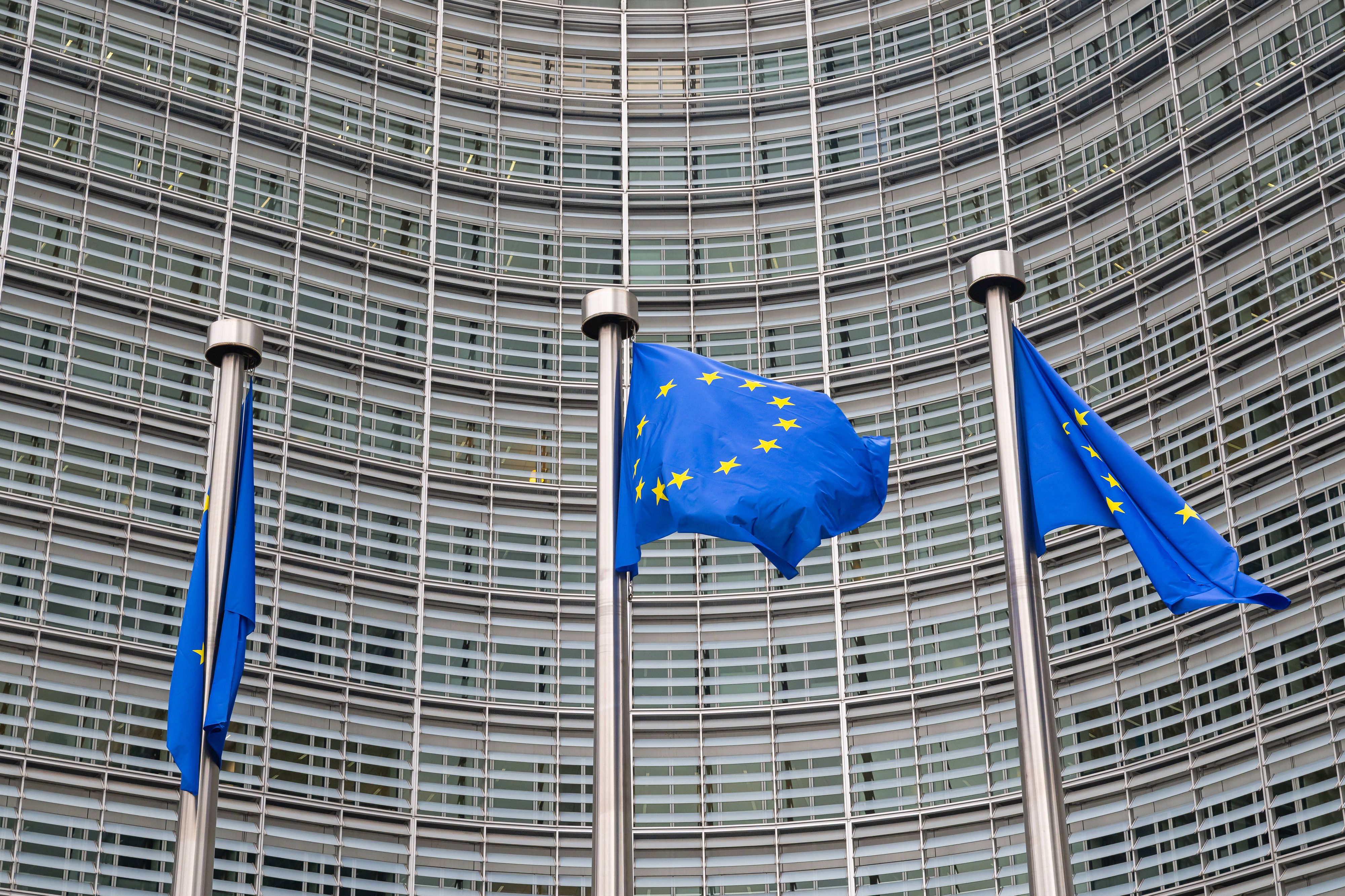 Der umstrittene Mercosur-Deal ist an einer Hürde im EU-Parlament vorerst gescheitert. (Symbolbild)