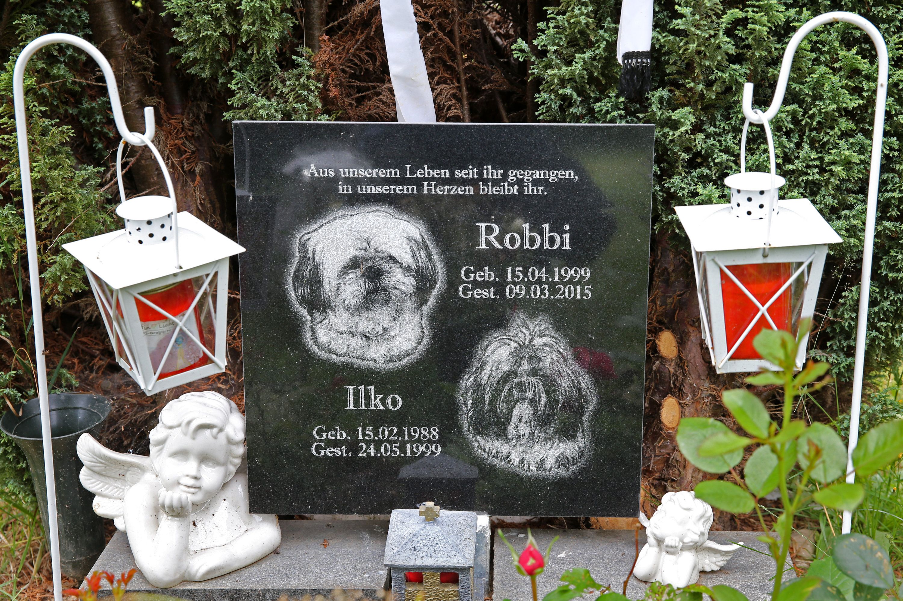 Heute.at - Tod von Haustier trifft härter als menschlicher Verlust